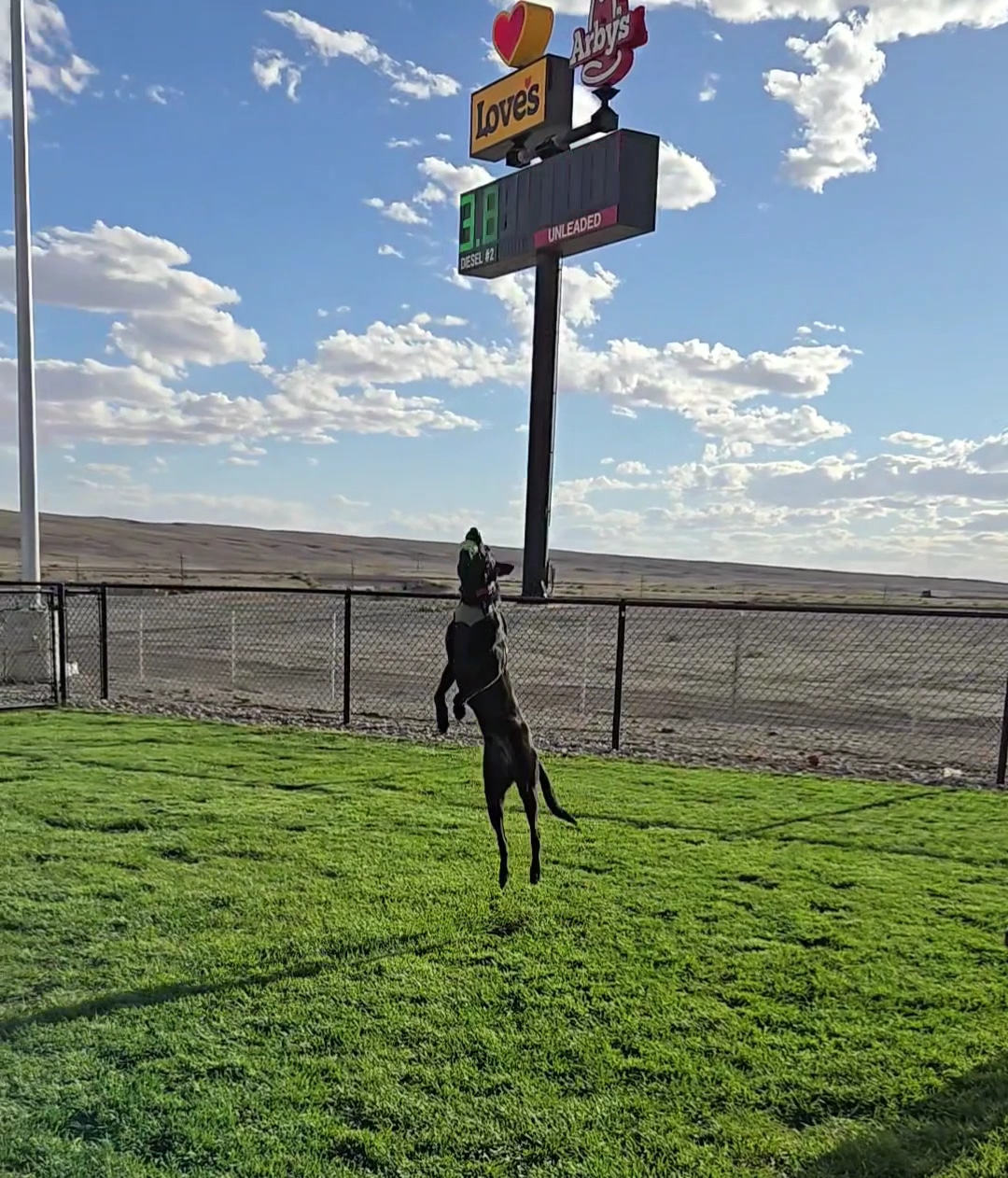 Dog Park at Love's Travel Stops - Green River, UT
