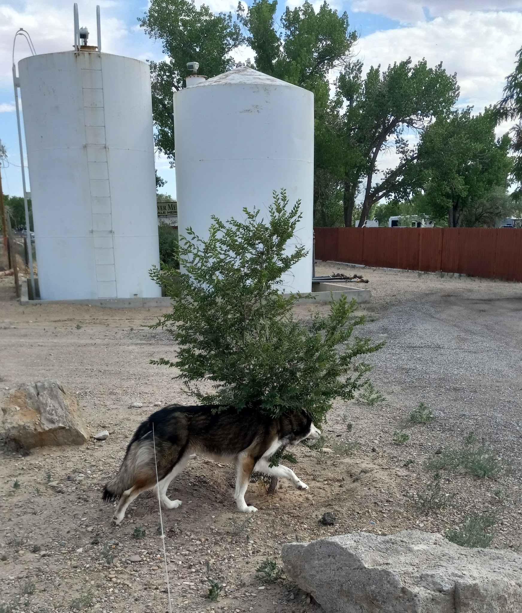 Green River Dog Park - Green River, UT