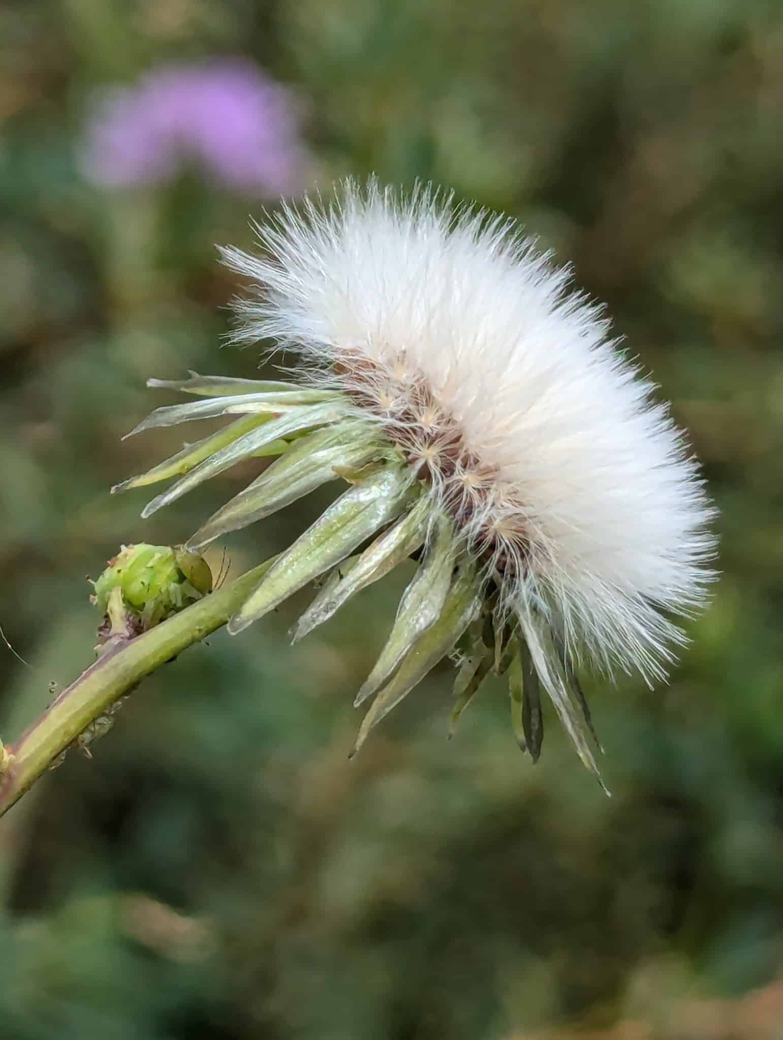 Dog Park at Love's Travel Stops - Green River, WY