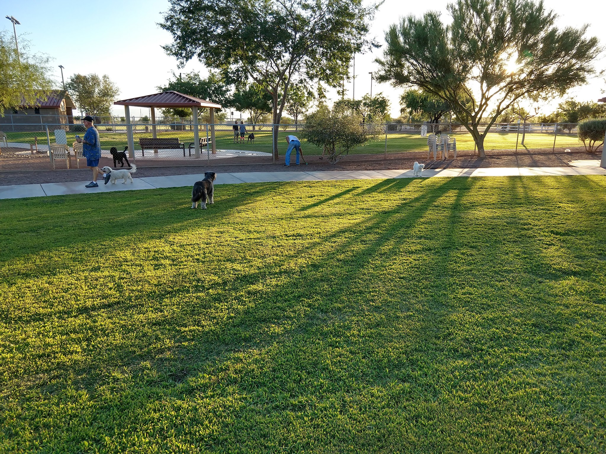 Quail Creek Dog Park - Green Valley, AZ