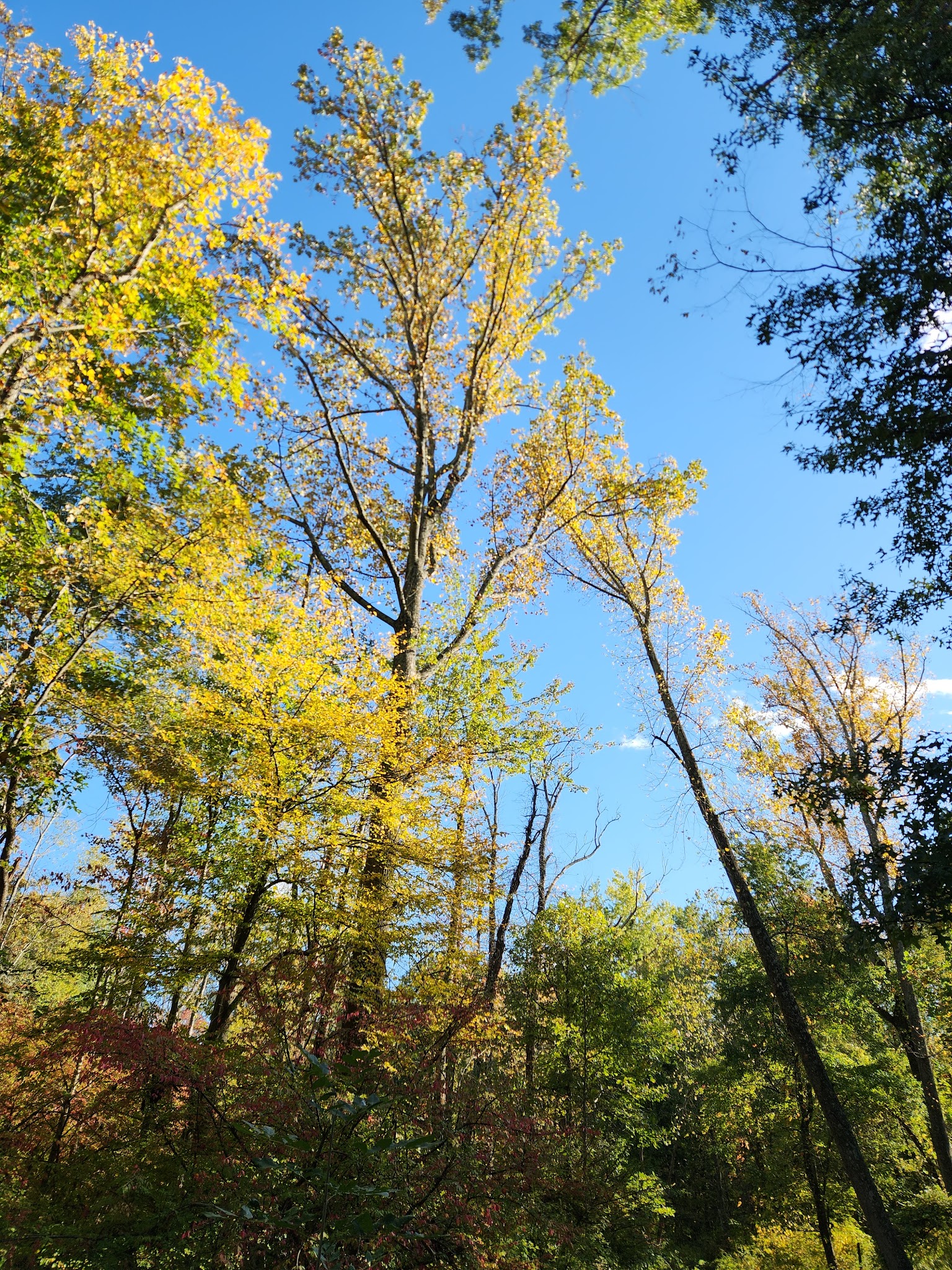 Loantaka Trail Access - Green Village, NJ