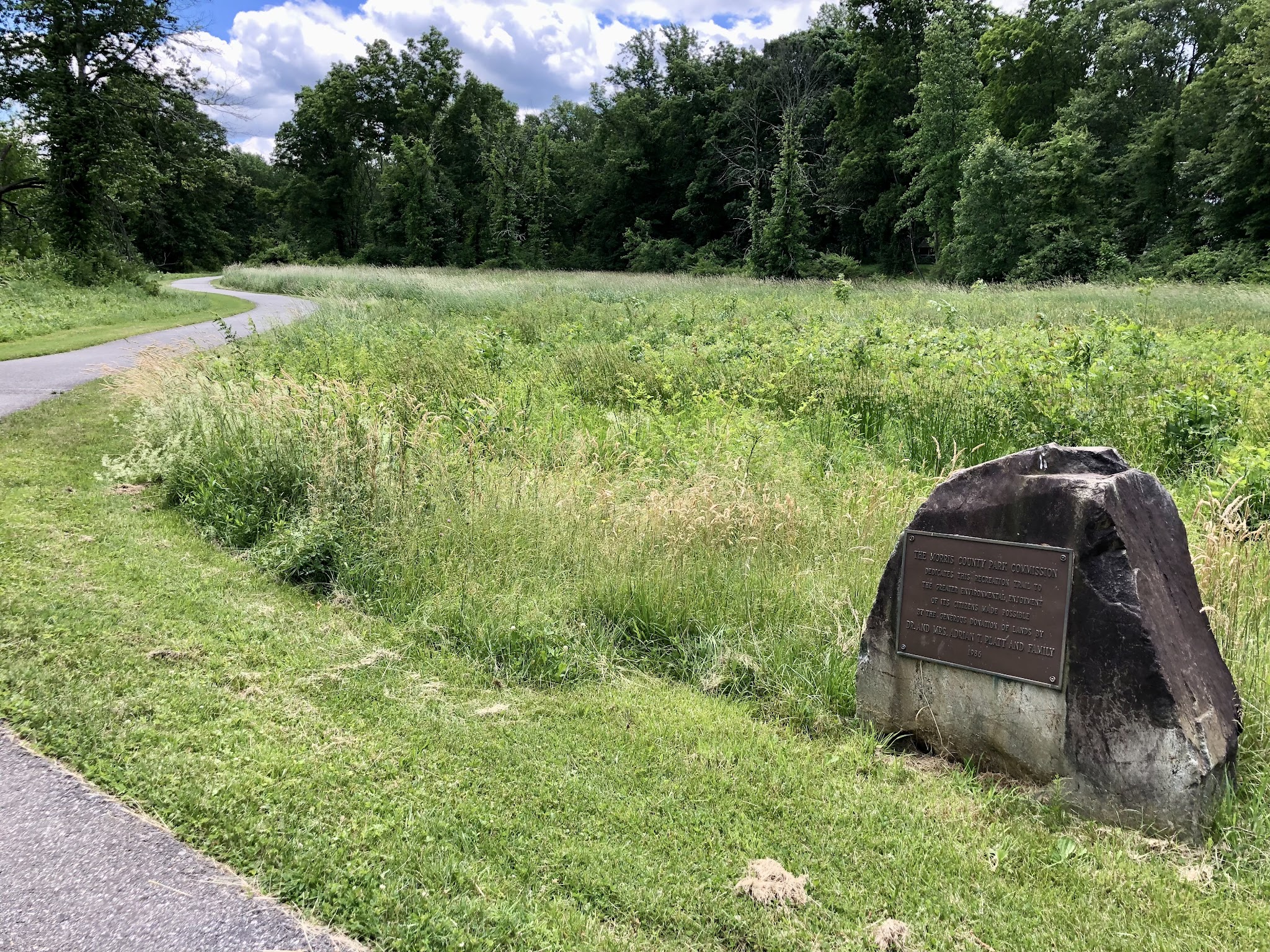 Loantaka Trail Access - Green Village, NJ