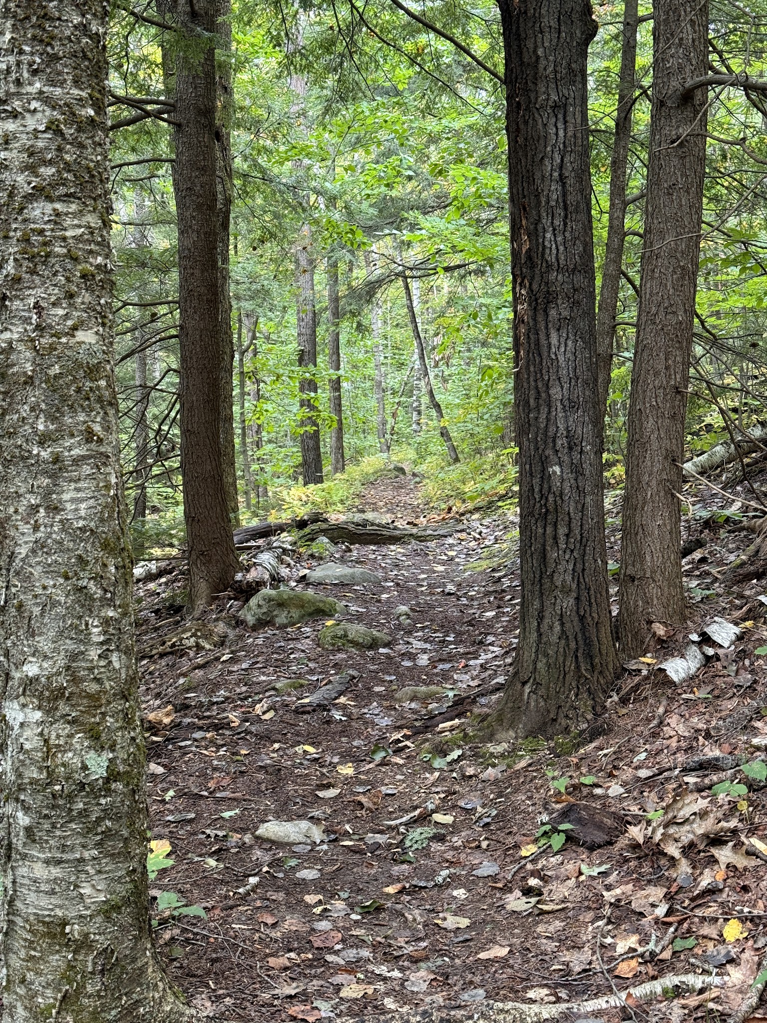 Crotched Mountain Accessible Trails - Greenfield, NH