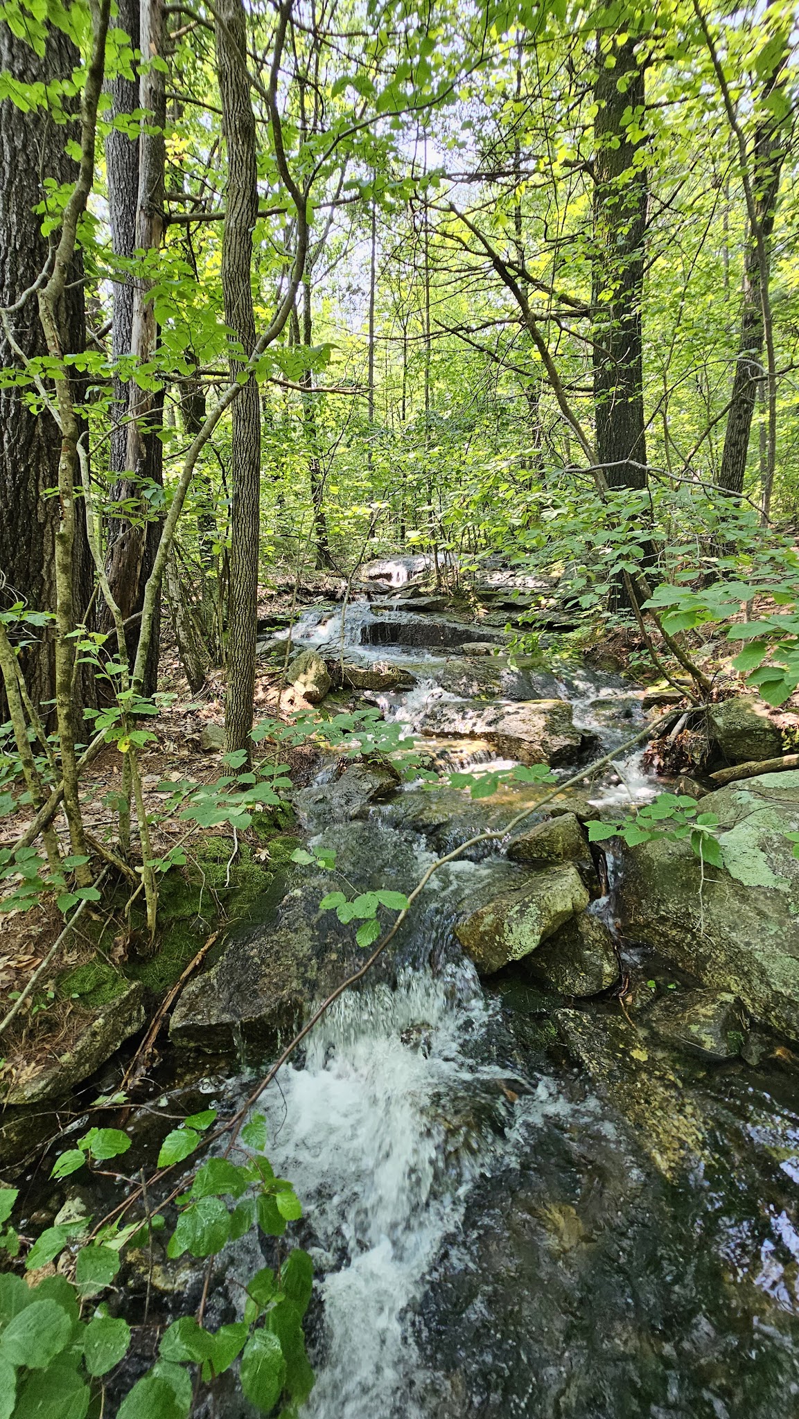 Ted's Trail Trailhead & Parking - Greenfield, NH