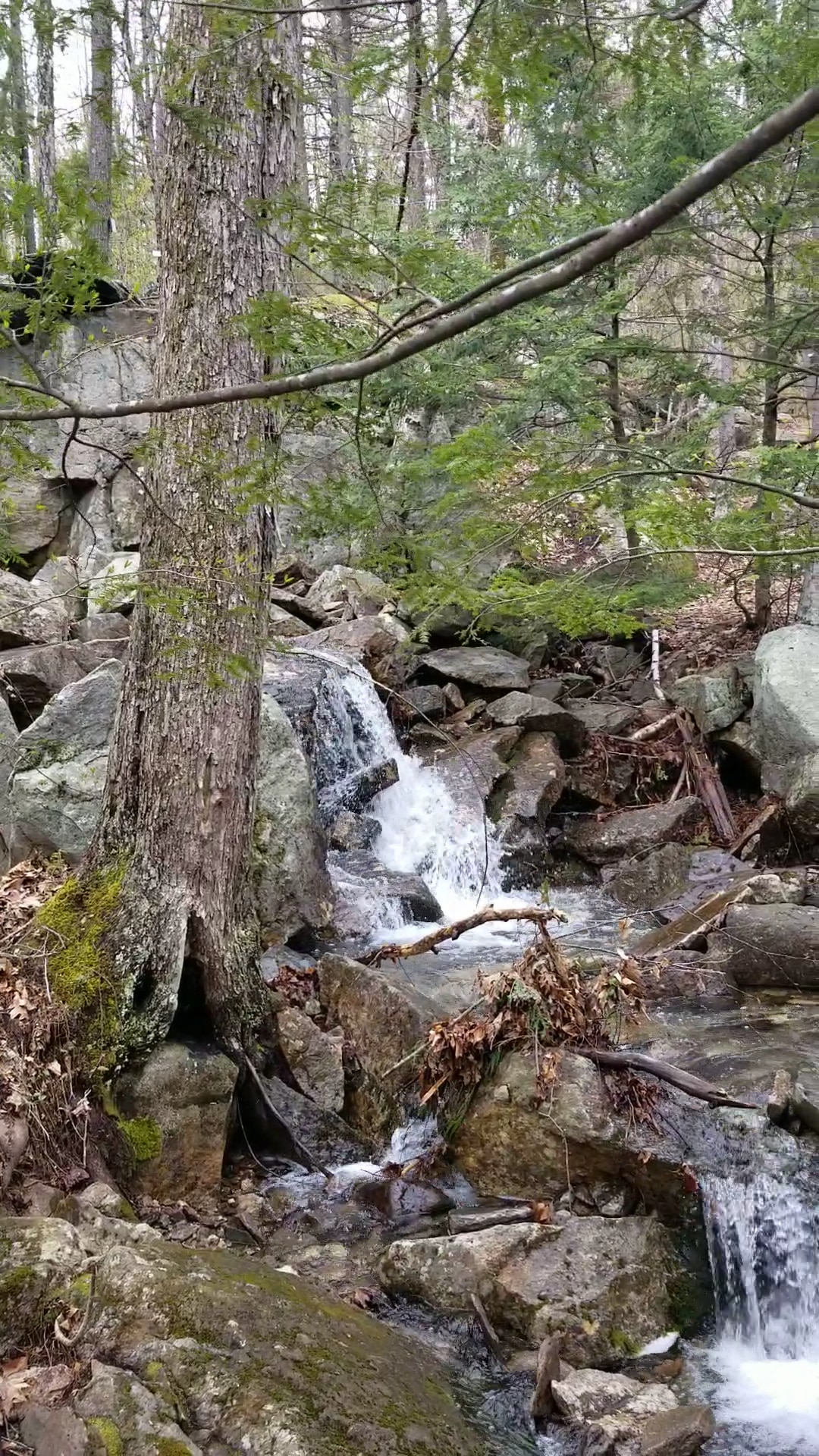 Ted's Trail Trailhead & Parking - Greenfield, NH