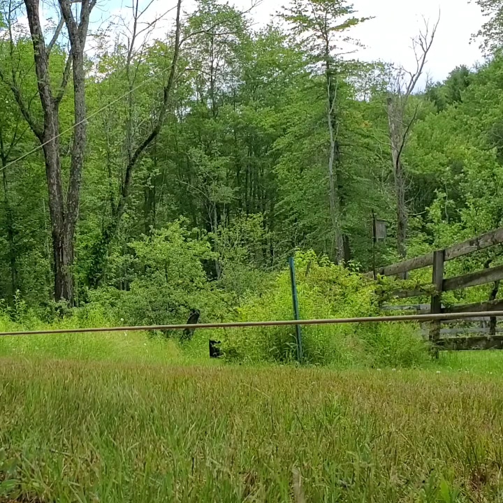 Greenfield Park - Greenfield Park, NY