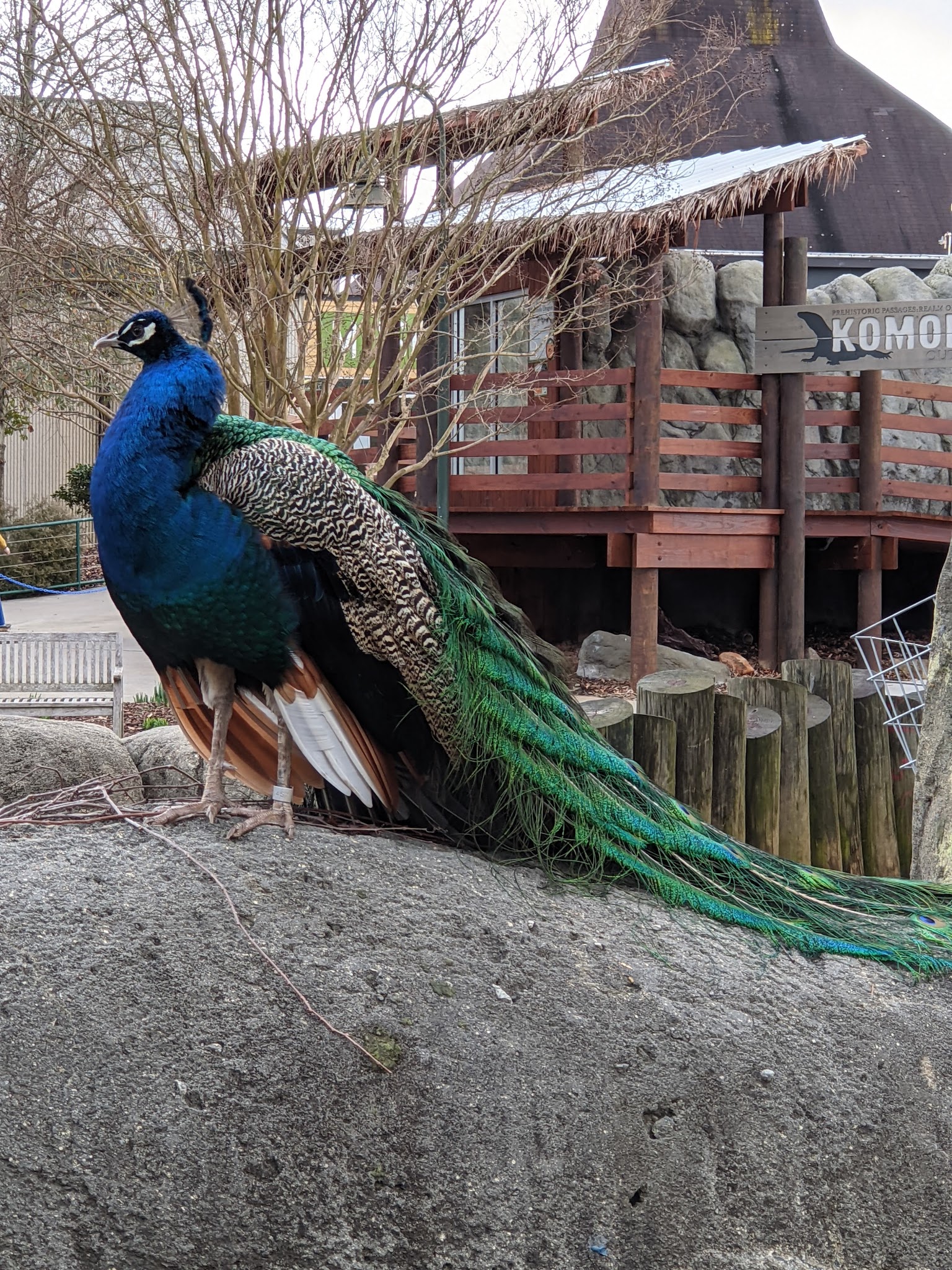 City of Greensboro - Country Park - Greensboro, NC