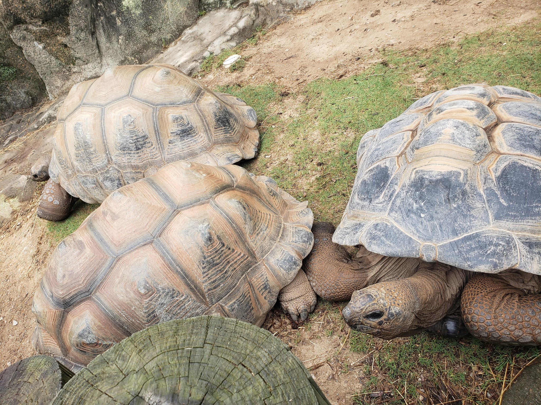 City of Greensboro - Country Park - Greensboro, NC