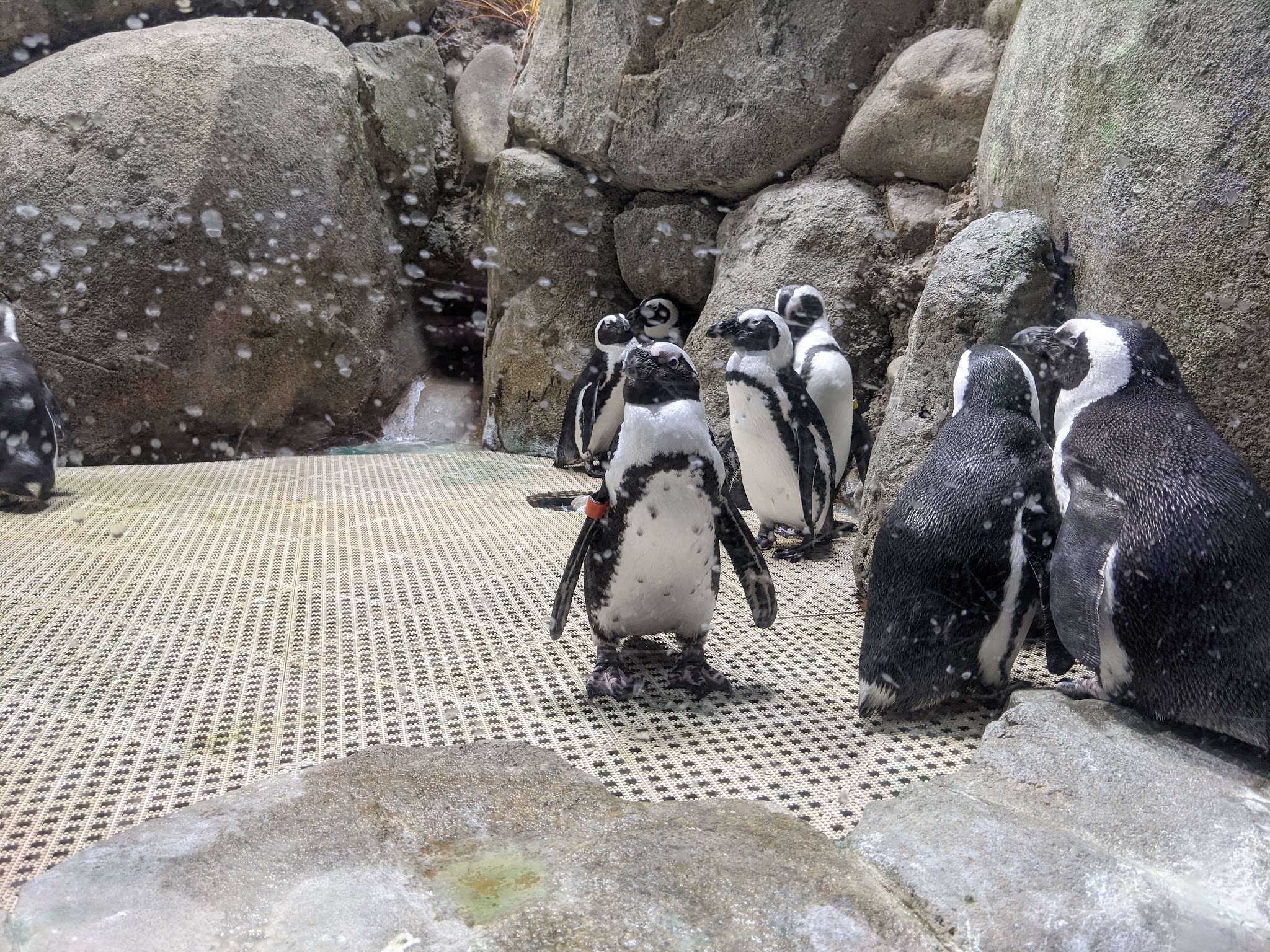 City of Greensboro - Country Park - Greensboro, NC