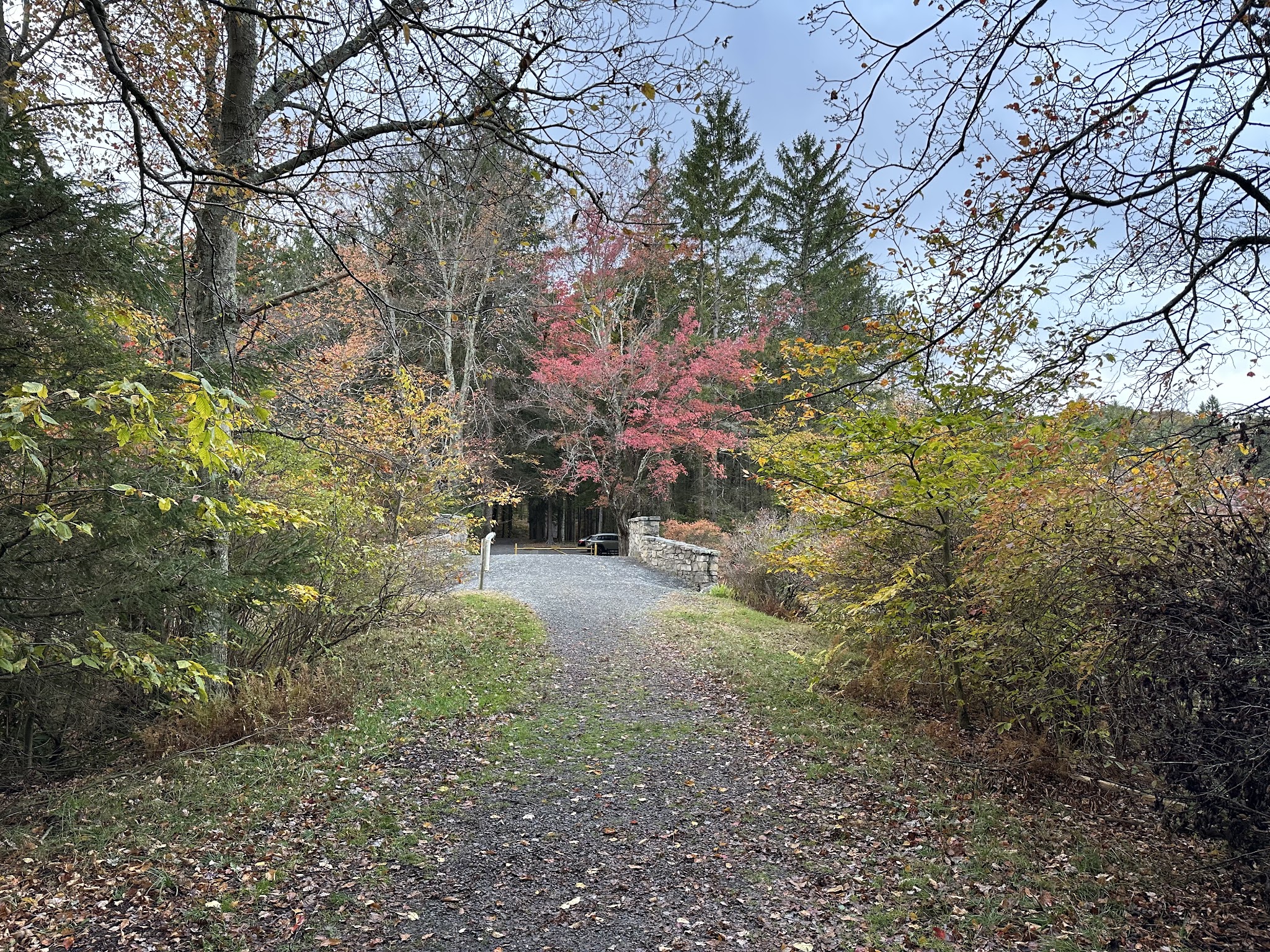 Conservation Island Trail - Greentown, PA