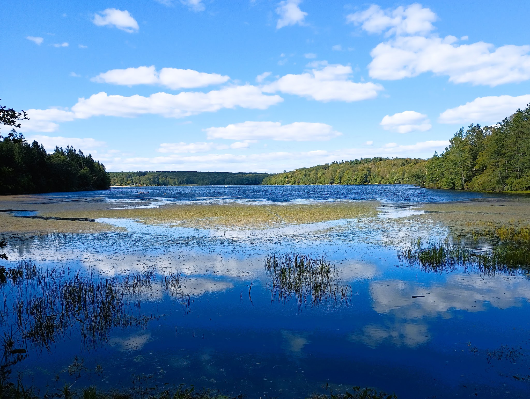 Conservation Island Trail - Greentown, PA