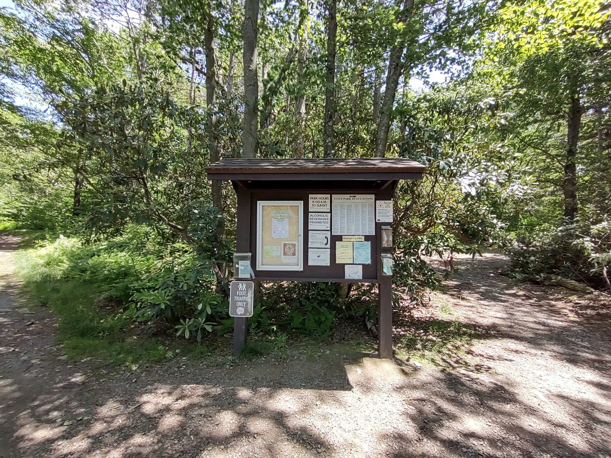 Conservation Island Trail - Greentown, PA