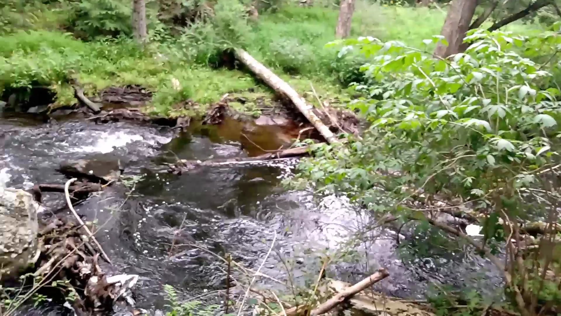 Little Falls Trail - Greentown, PA