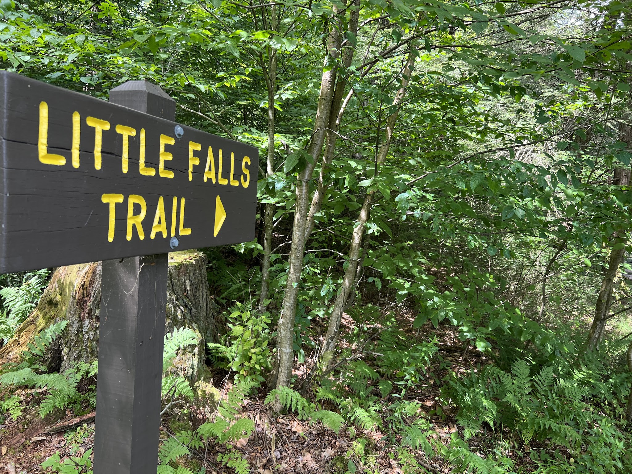 Little Falls Trail - Greentown, PA