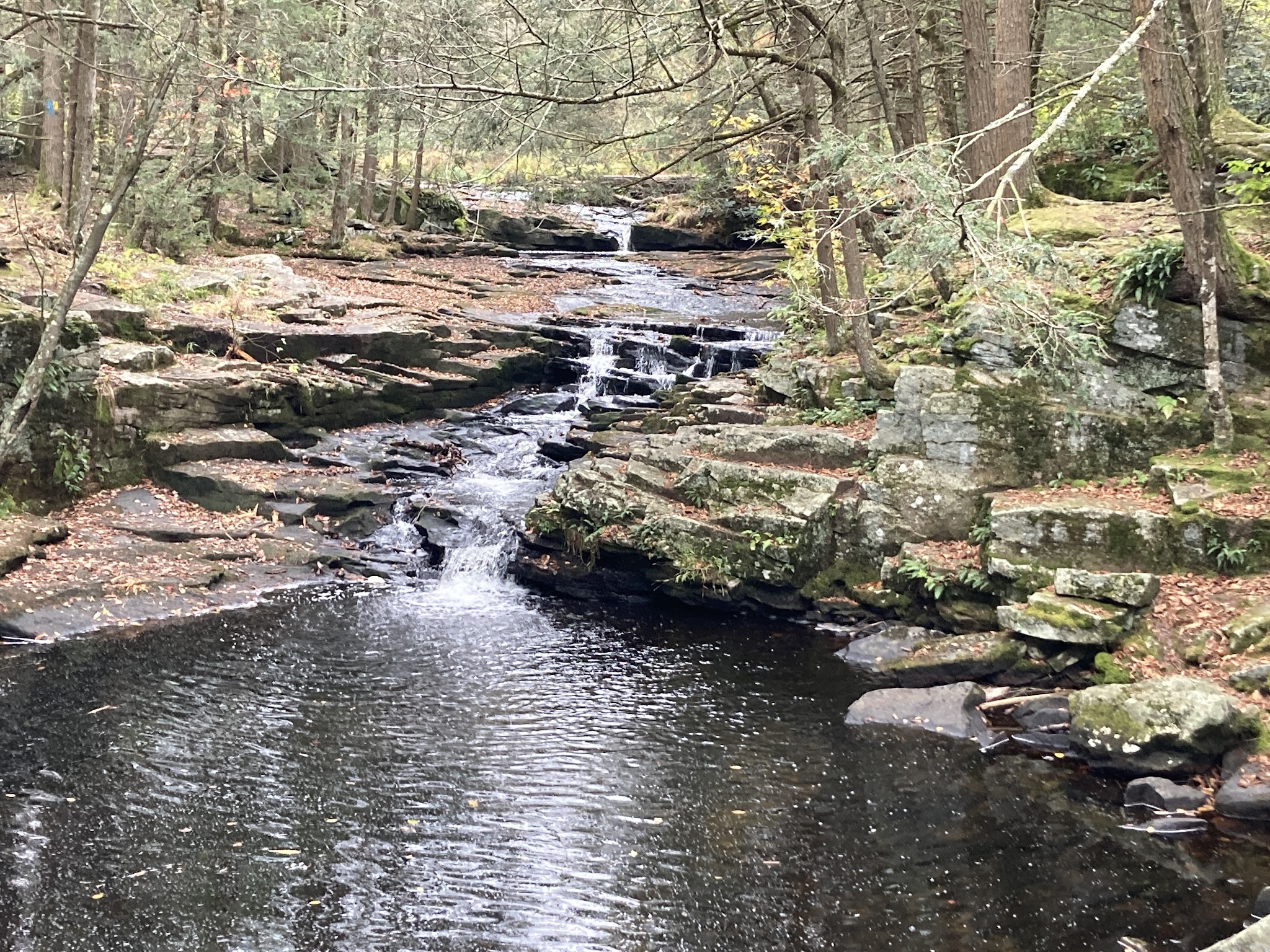 Little Falls Trail - Greentown, PA