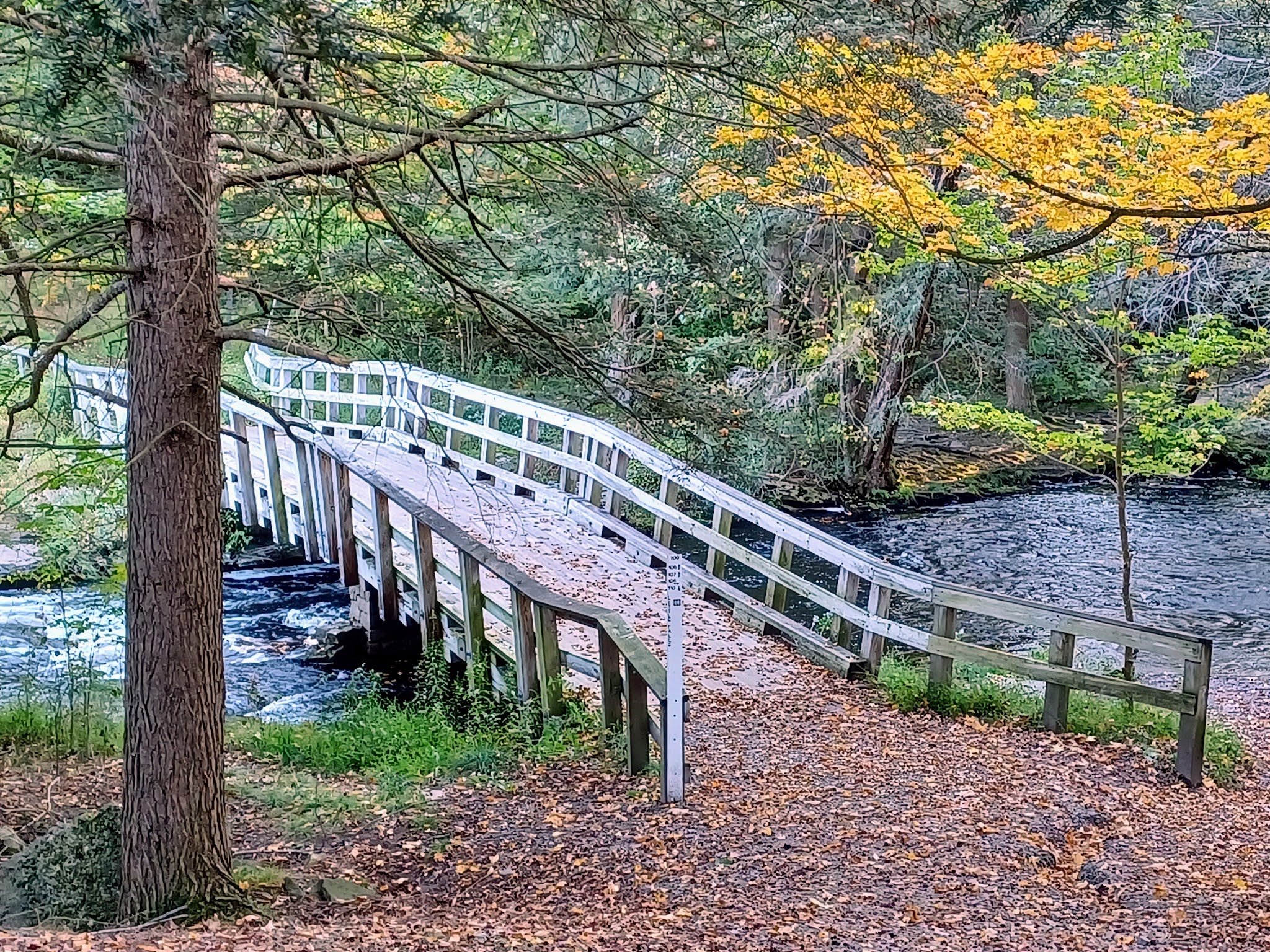 Little Falls Trail - Greentown, PA