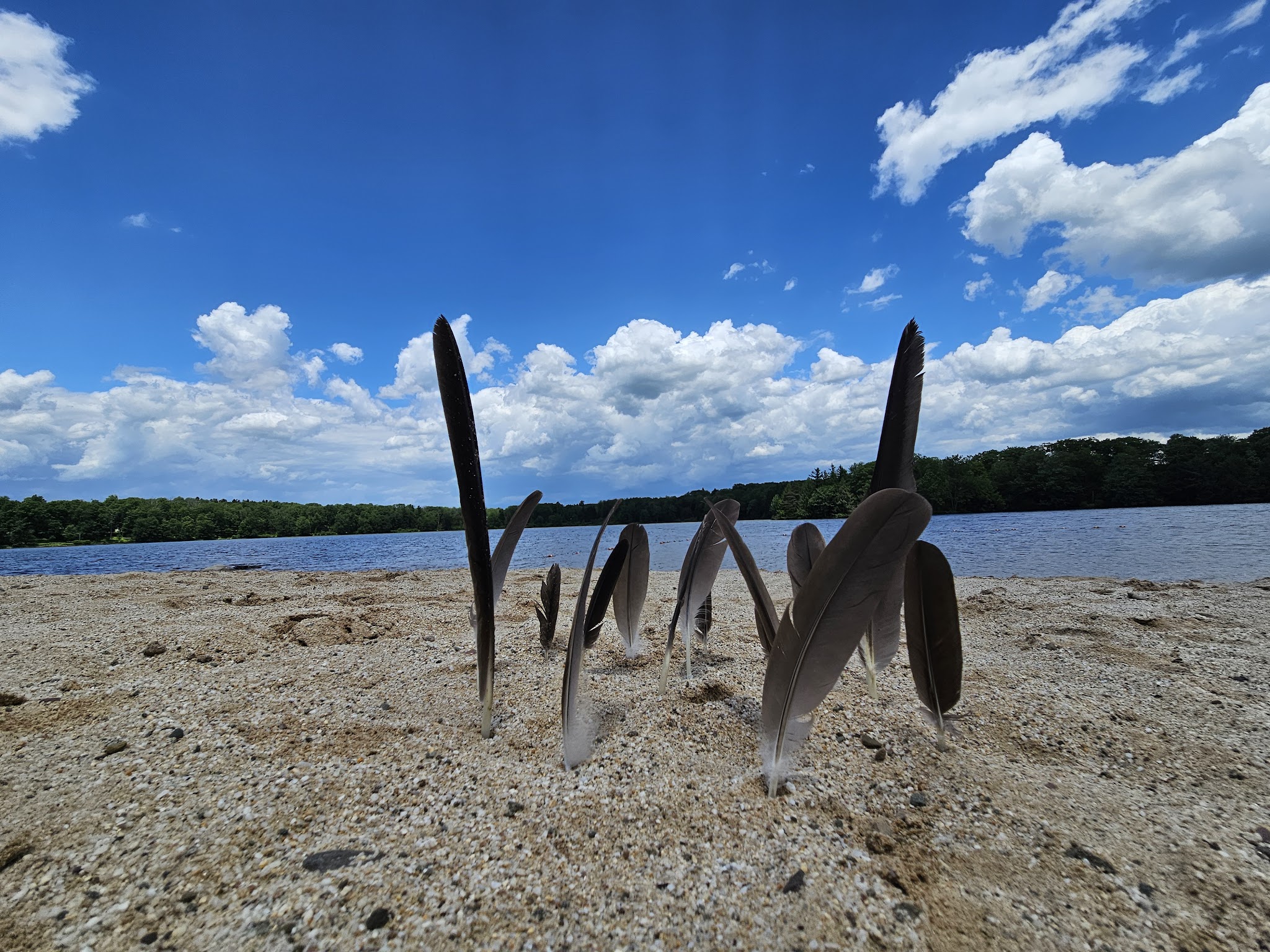 Pickerel Point Beach - Greentown, PA