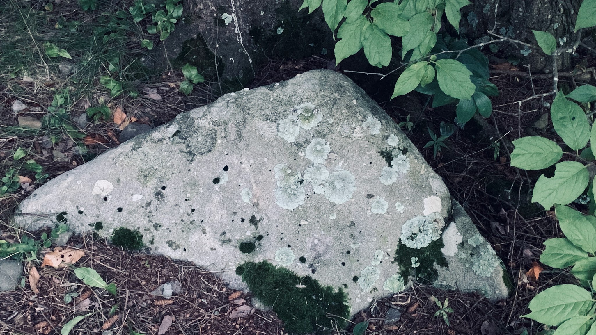 Pickerel Point Beach - Greentown, PA