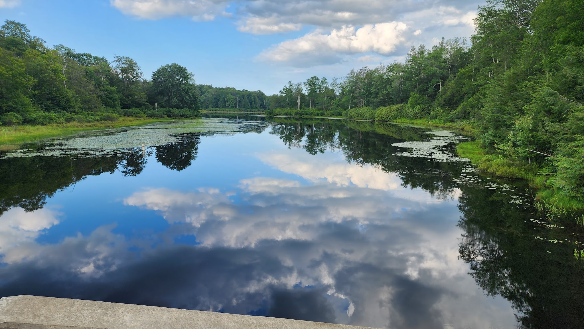 Promised Land State Park Beechwood Camping Area - Greentown, PA