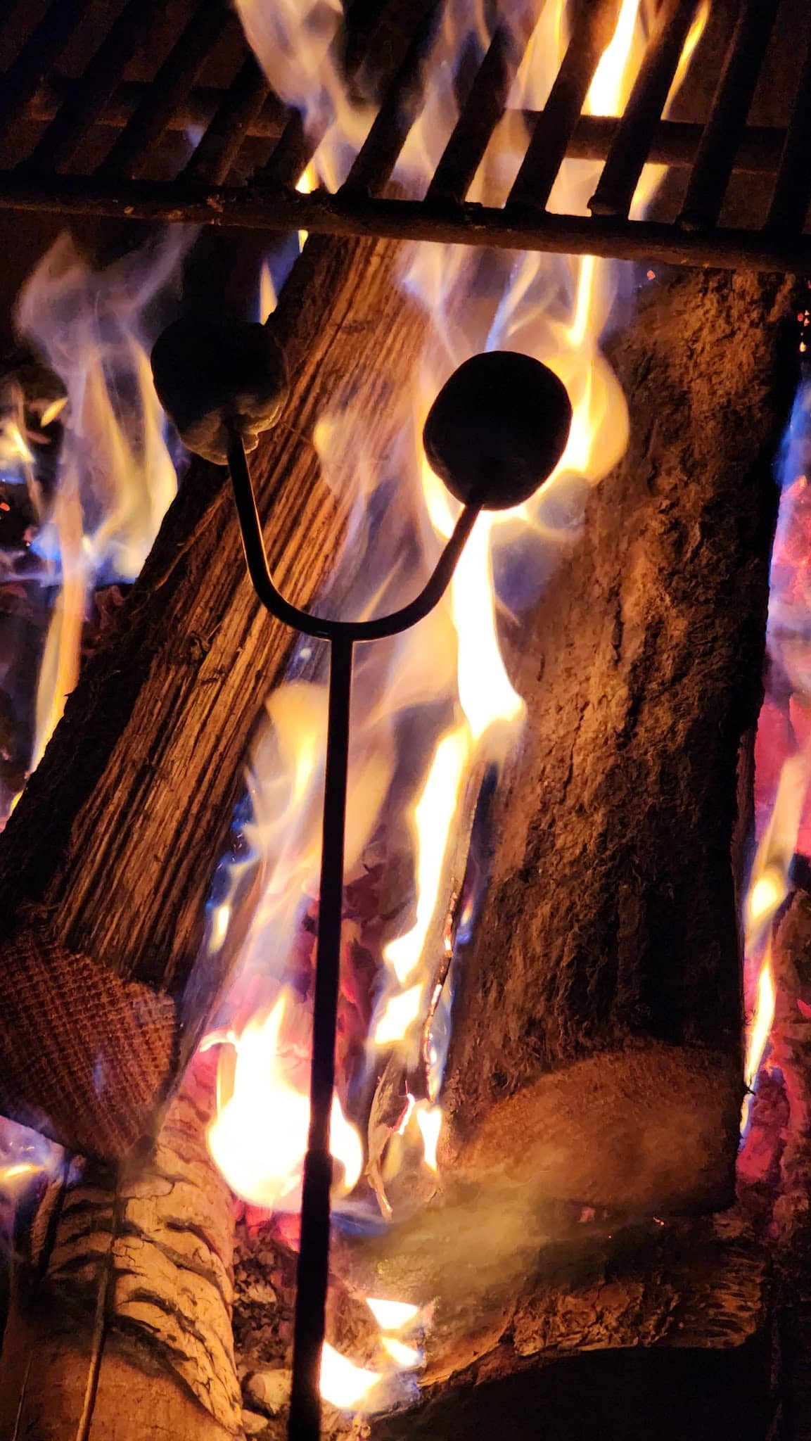 Promised Land State Park Beechwood Camping Area - Greentown, PA