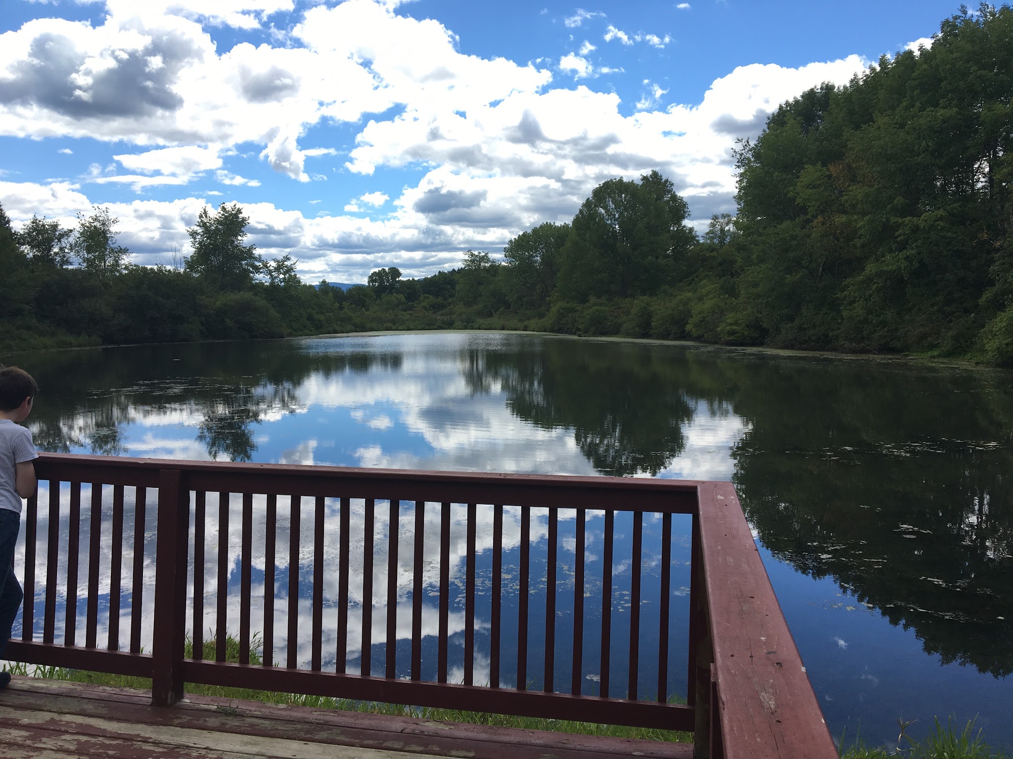 George V Vanderbilt Park - Greenville, NY