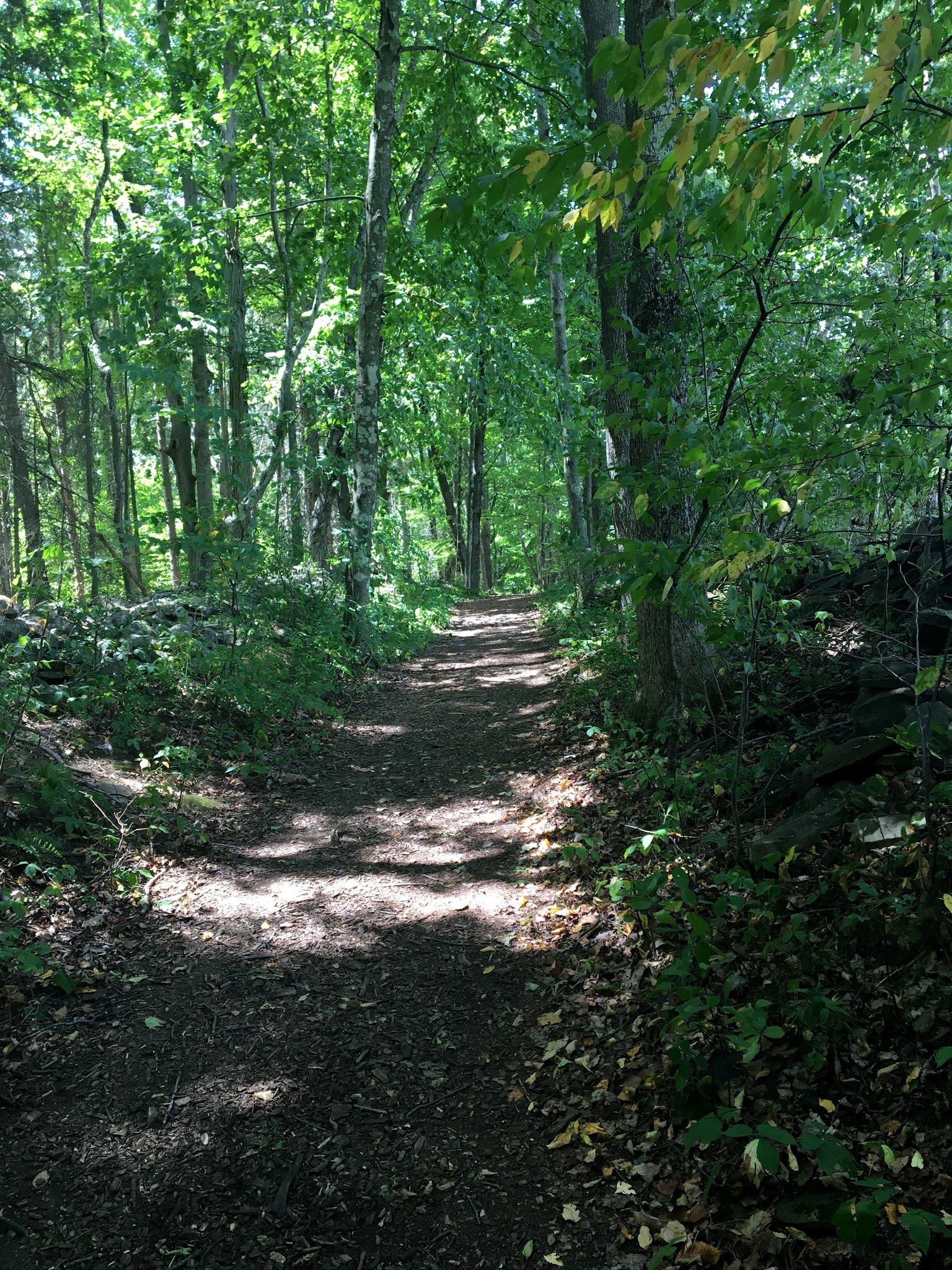George V Vanderbilt Park - Greenville, NY