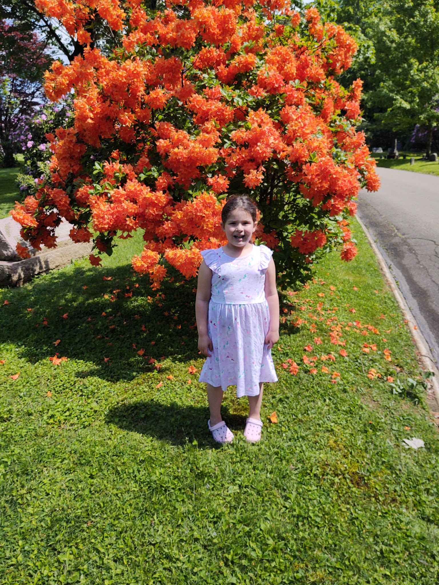 Central Park - Greenville, PA