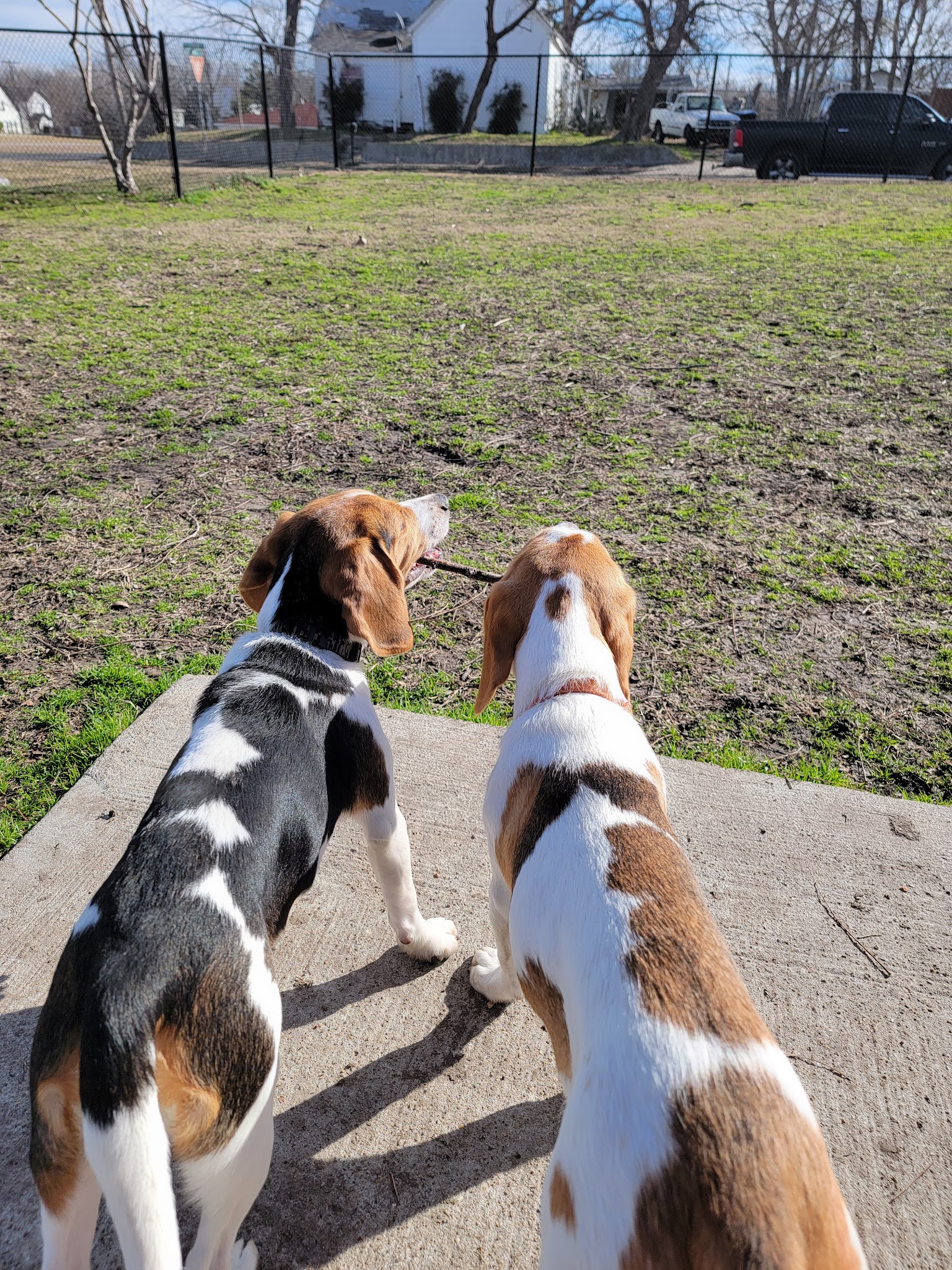 Arnold Park - Greenville, TX