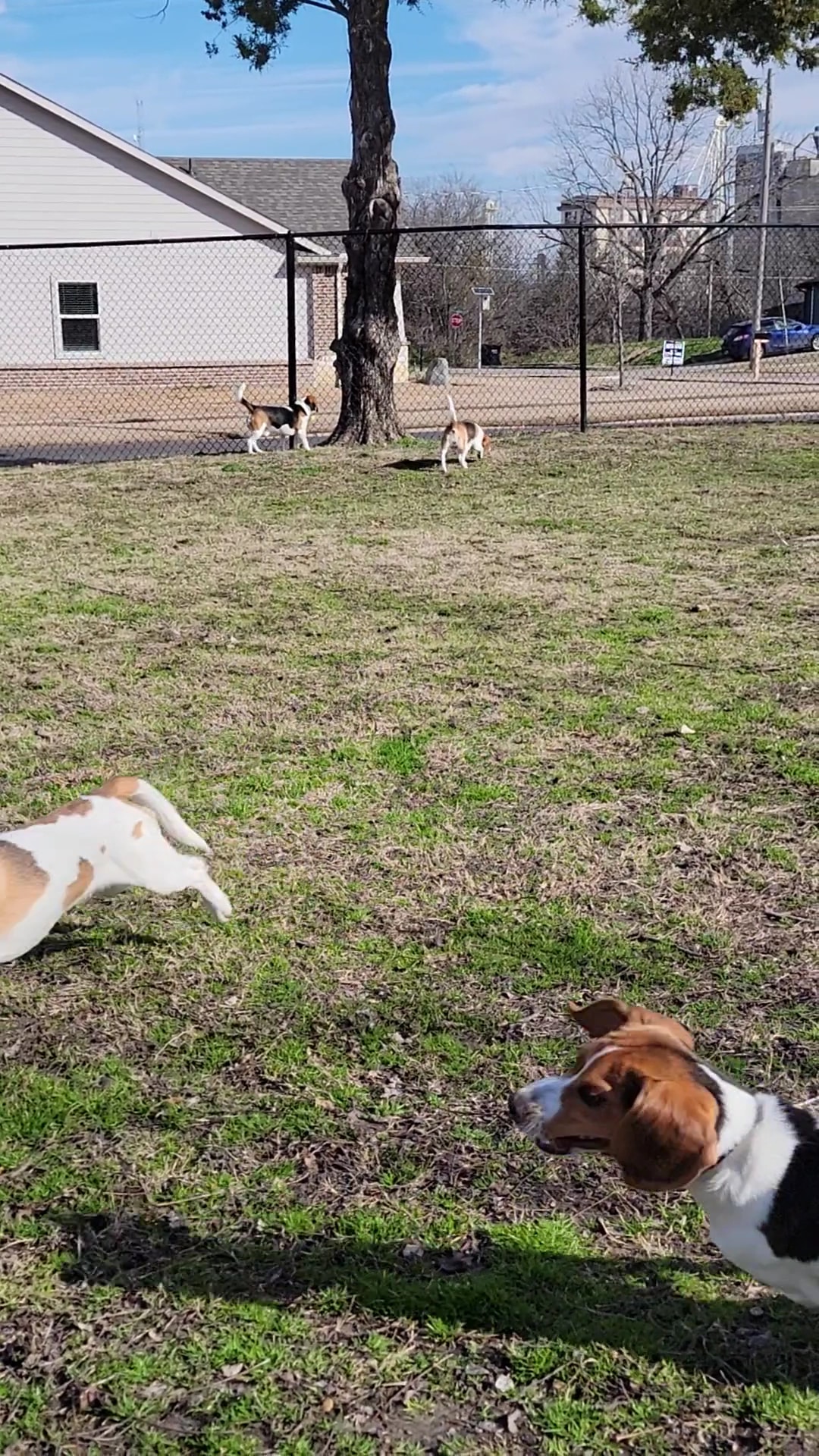 Arnold Park - Greenville, TX