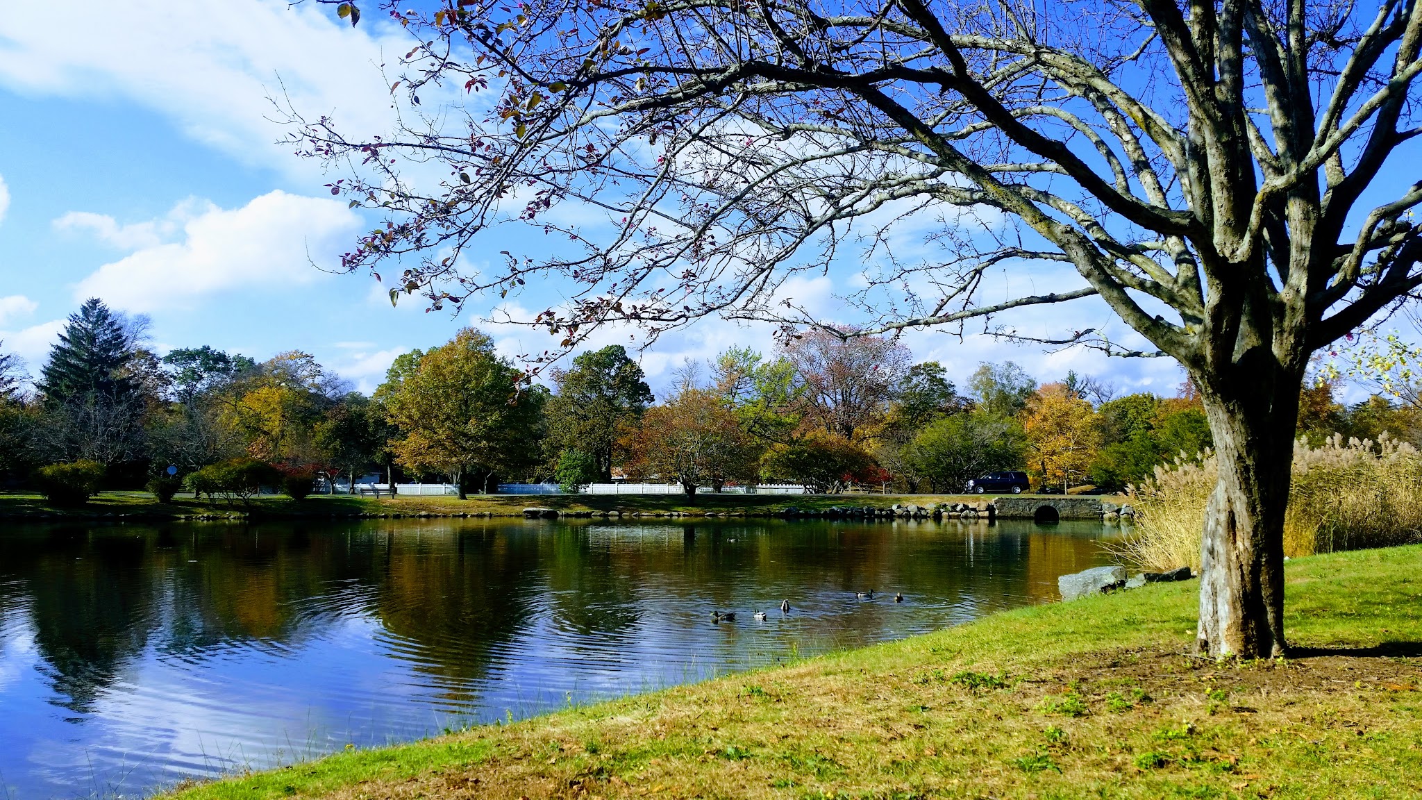 Bruce Park - Greenwich, CT