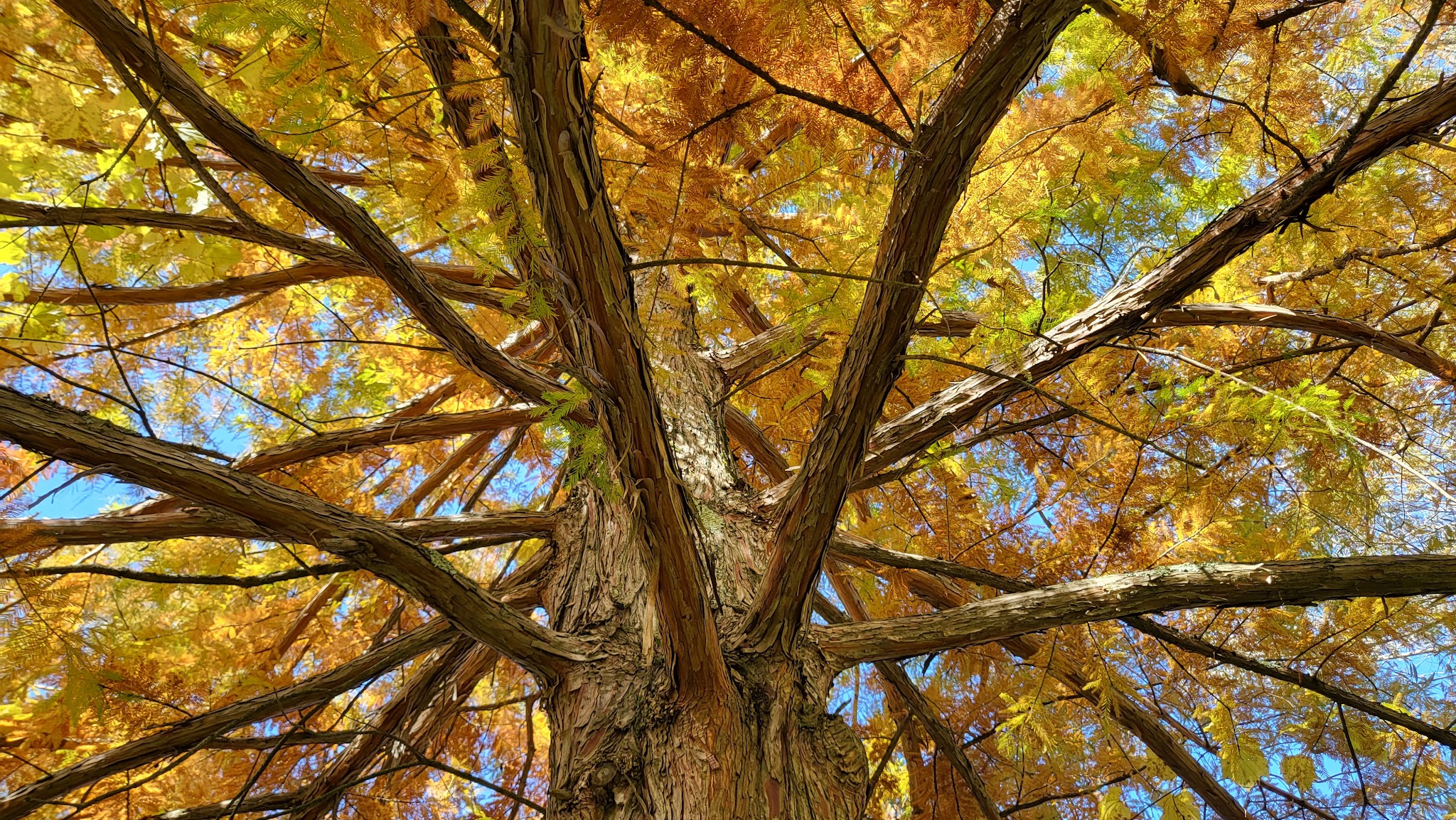 Riverfront Park - Greenwich, NY