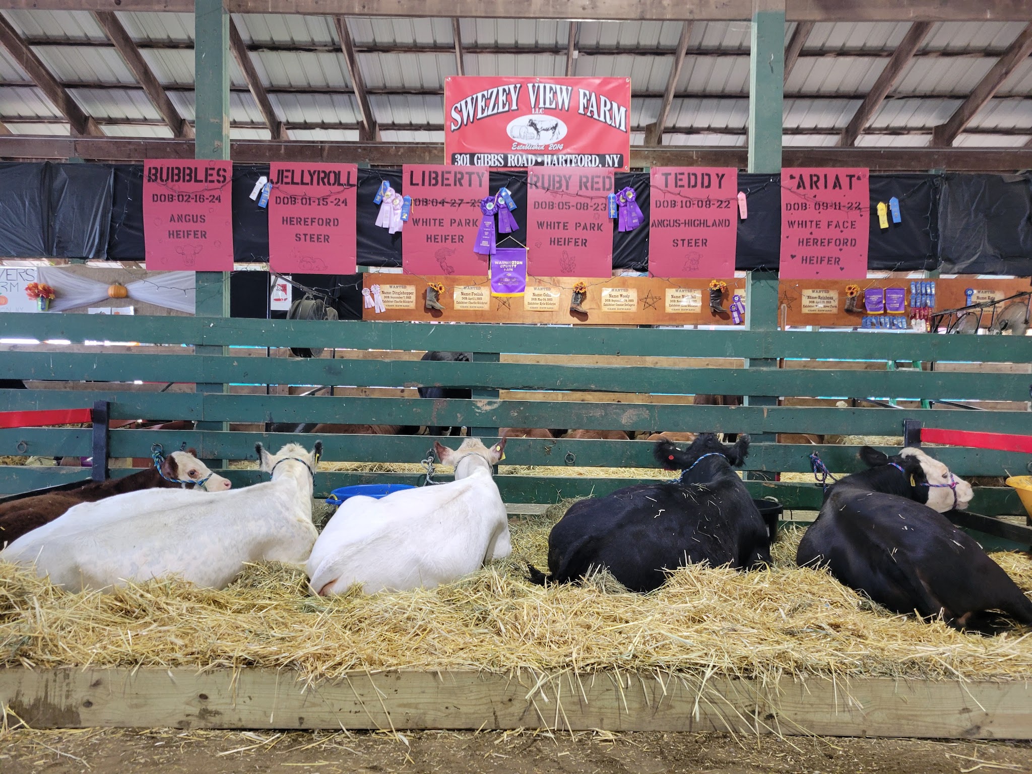 Washington County Fair, Inc. - Greenwich, NY