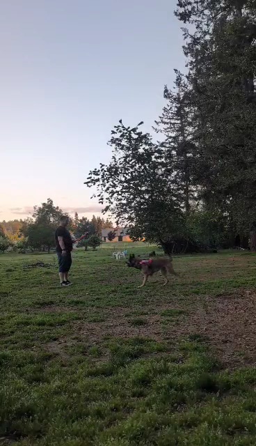 Fenced Off-Leash Dog Park - Gresham, OR