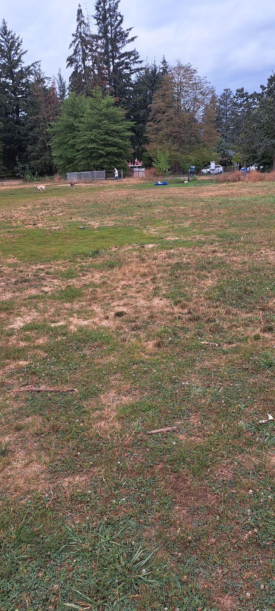 Fenced Off-Leash Dog Park - Gresham, OR