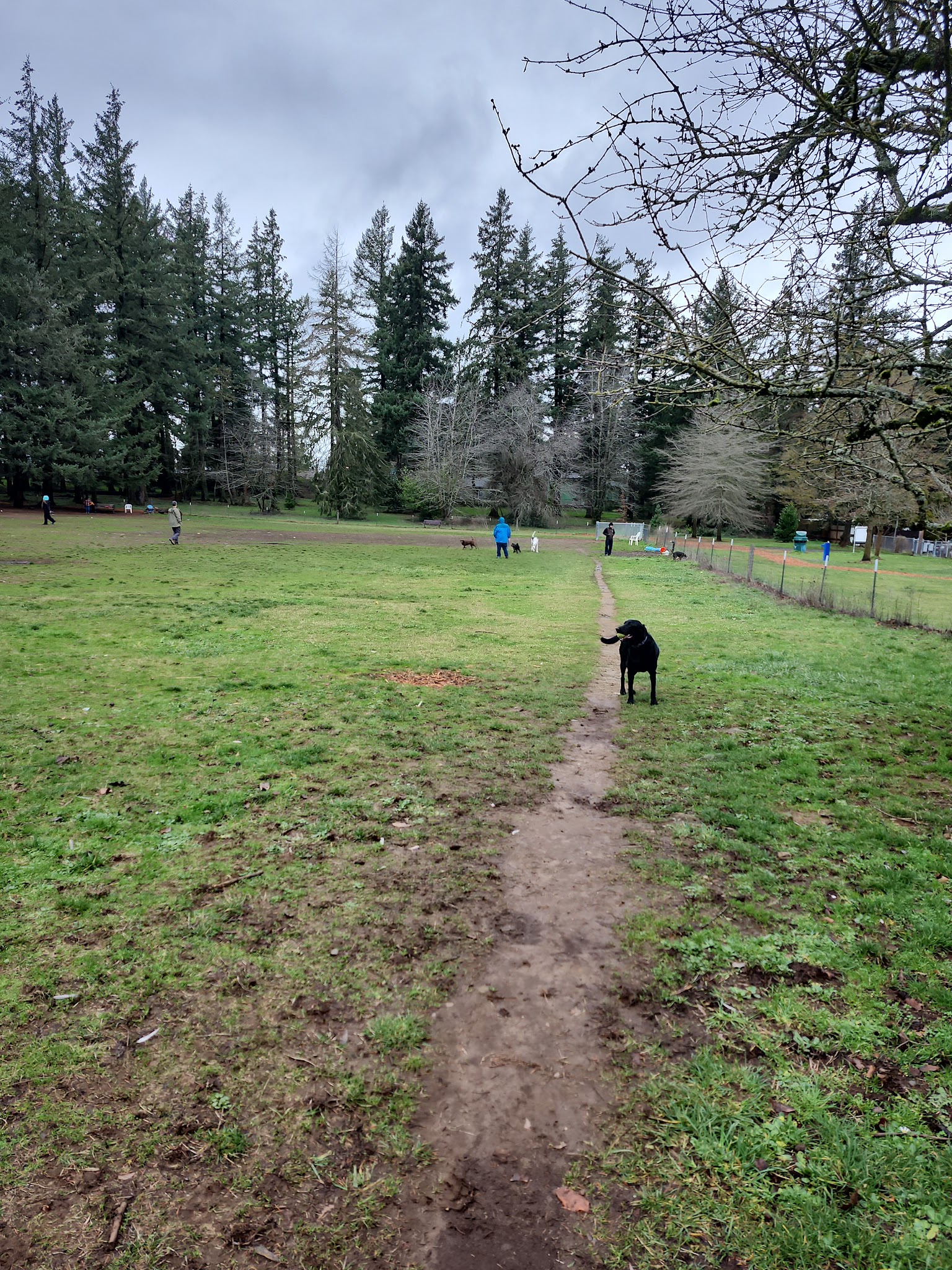 Fenced Off-Leash Dog Park - Gresham, OR