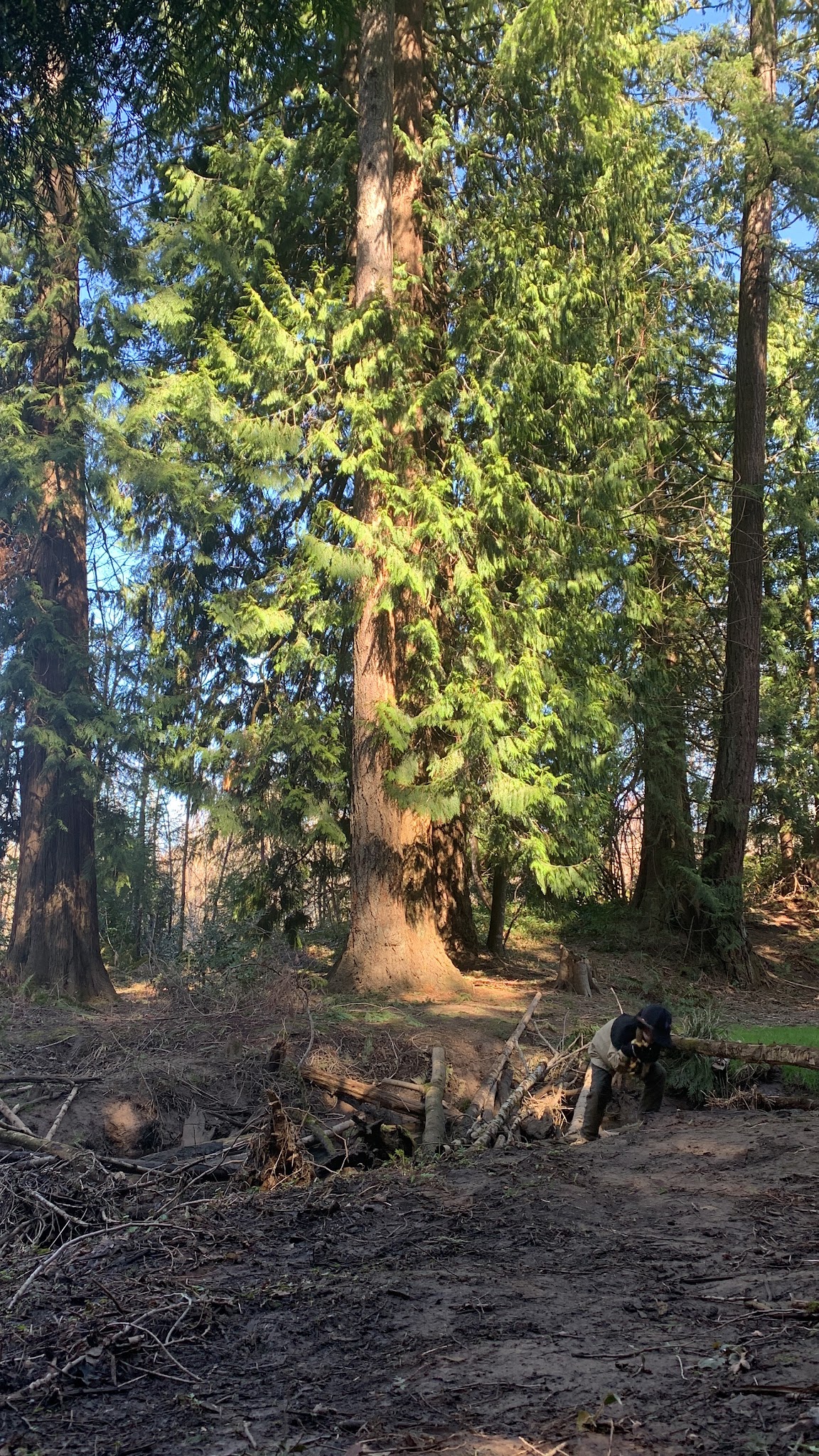 Ironwood Park - Gresham, OR