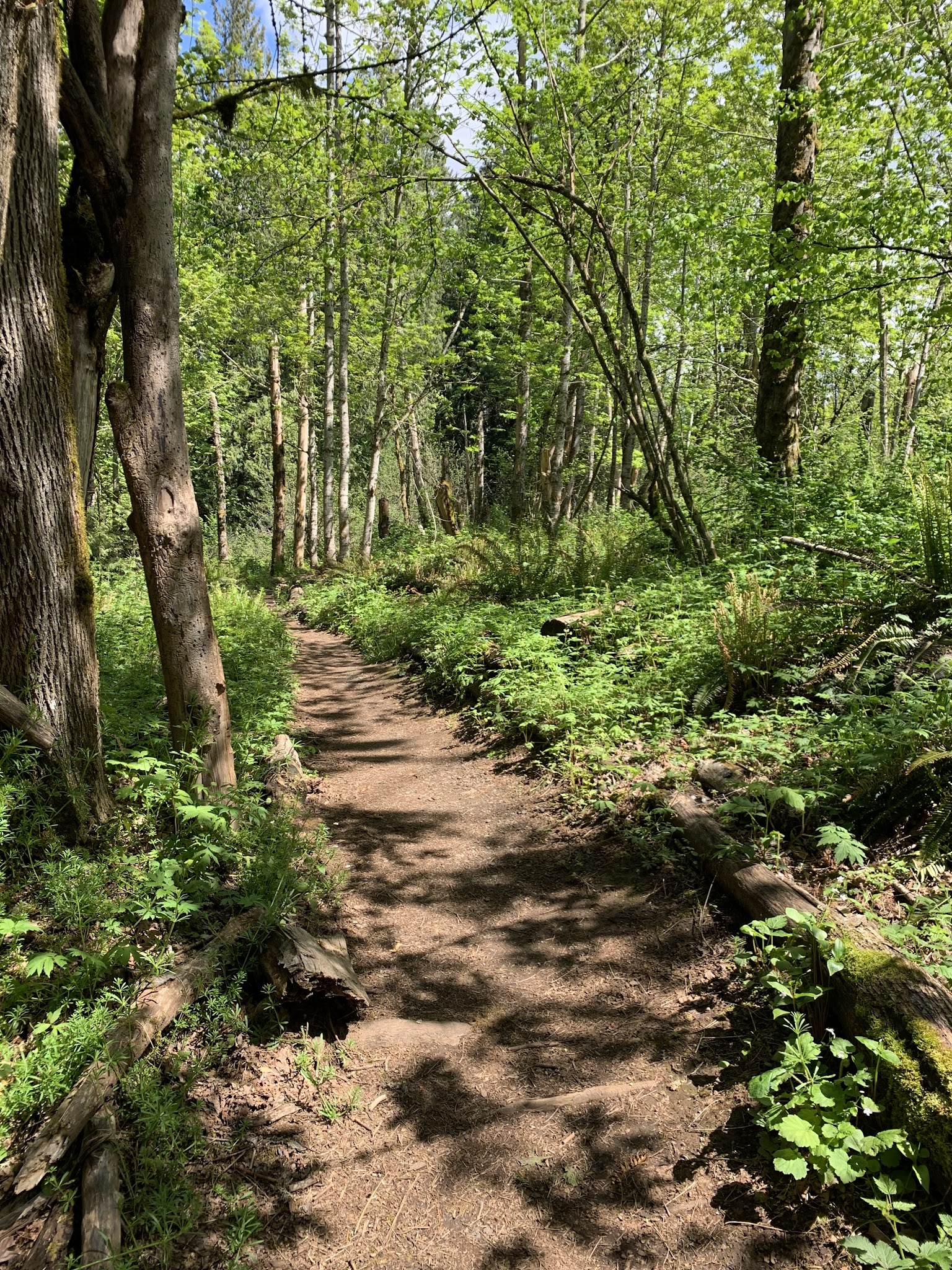 Ironwood Park - Gresham, OR