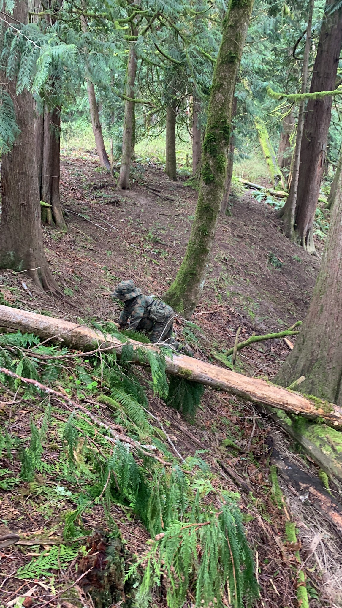 Ironwood Park - Gresham, OR