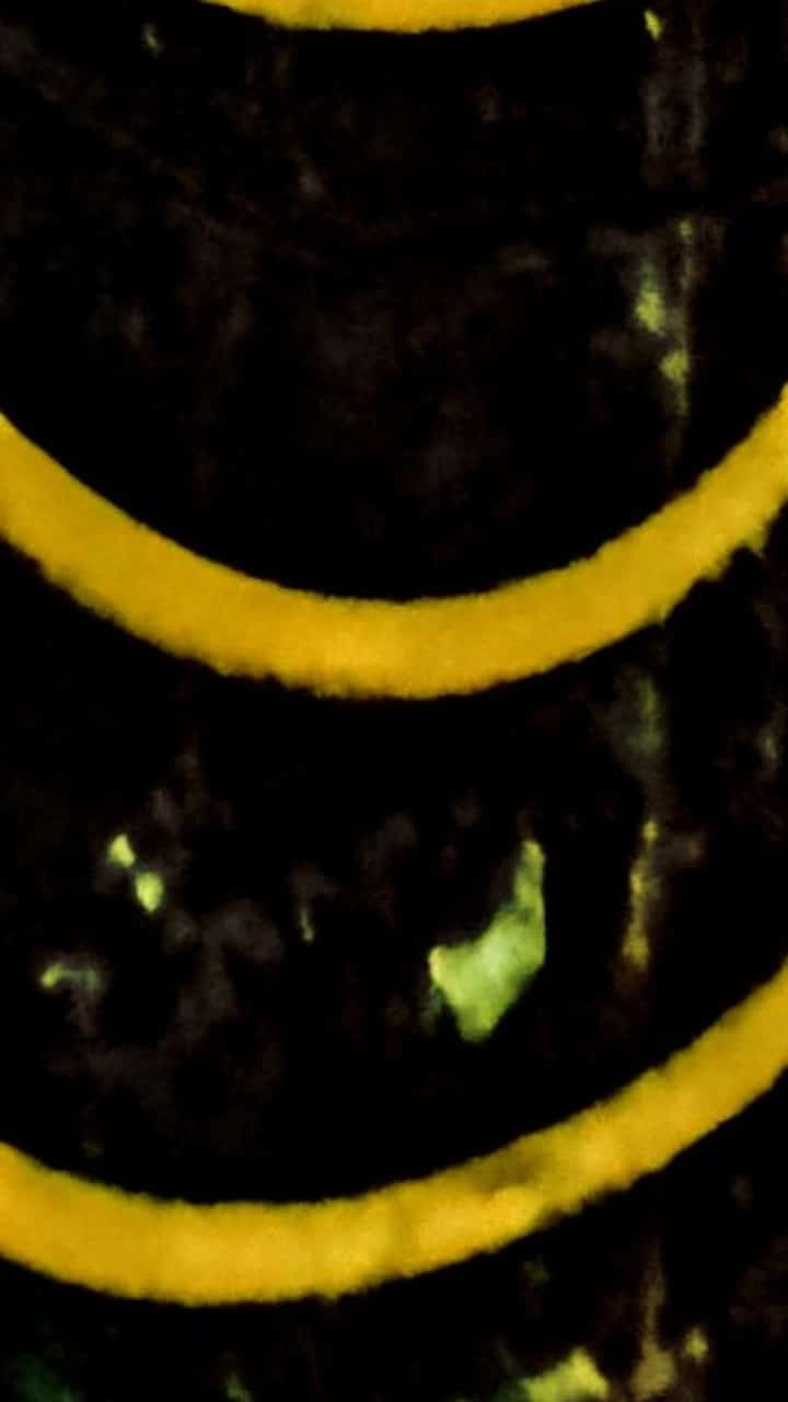 Groesbeck City Park - Groesbeck, TX