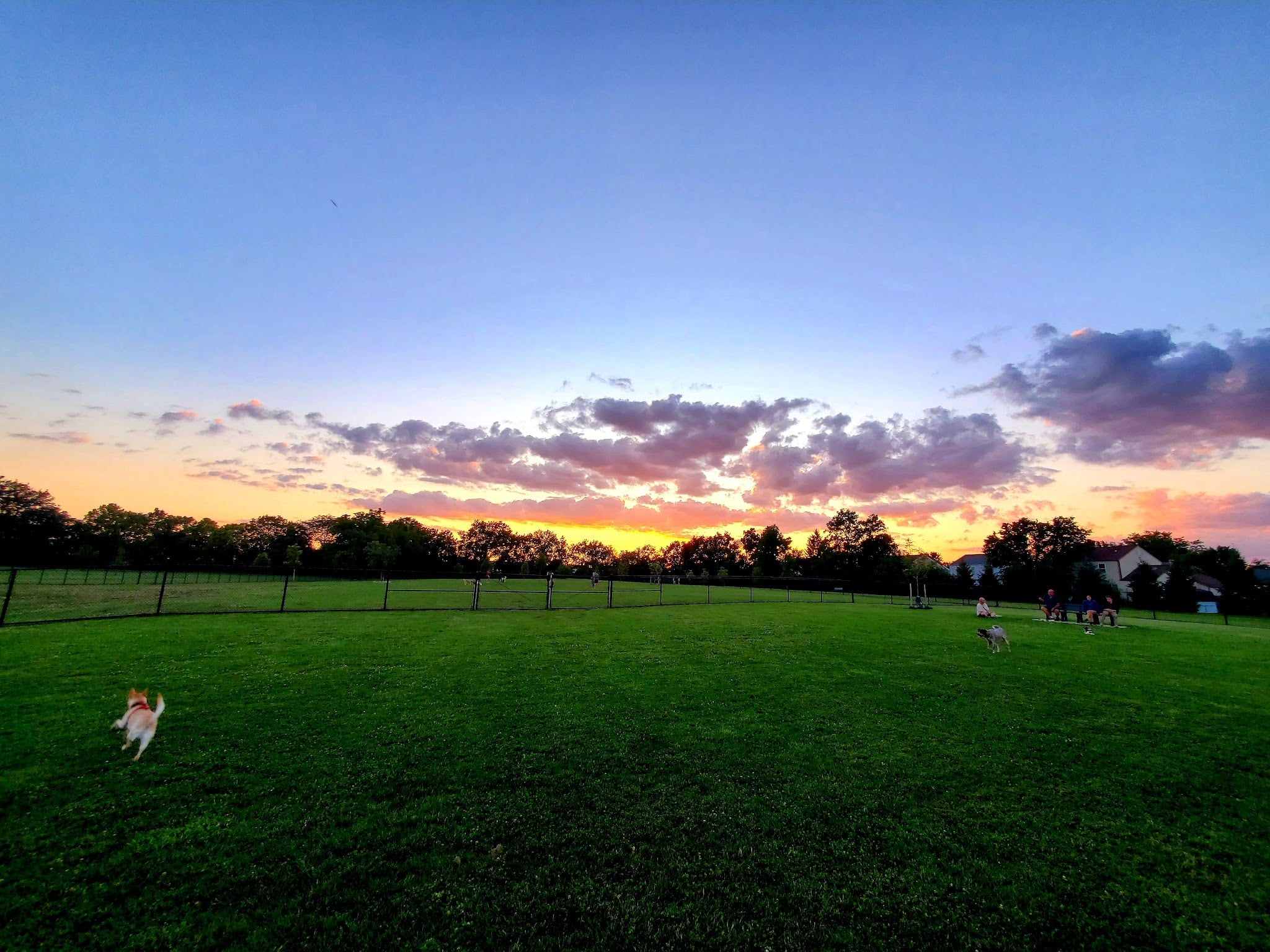 Breck Community Dog Park - Grove City, OH