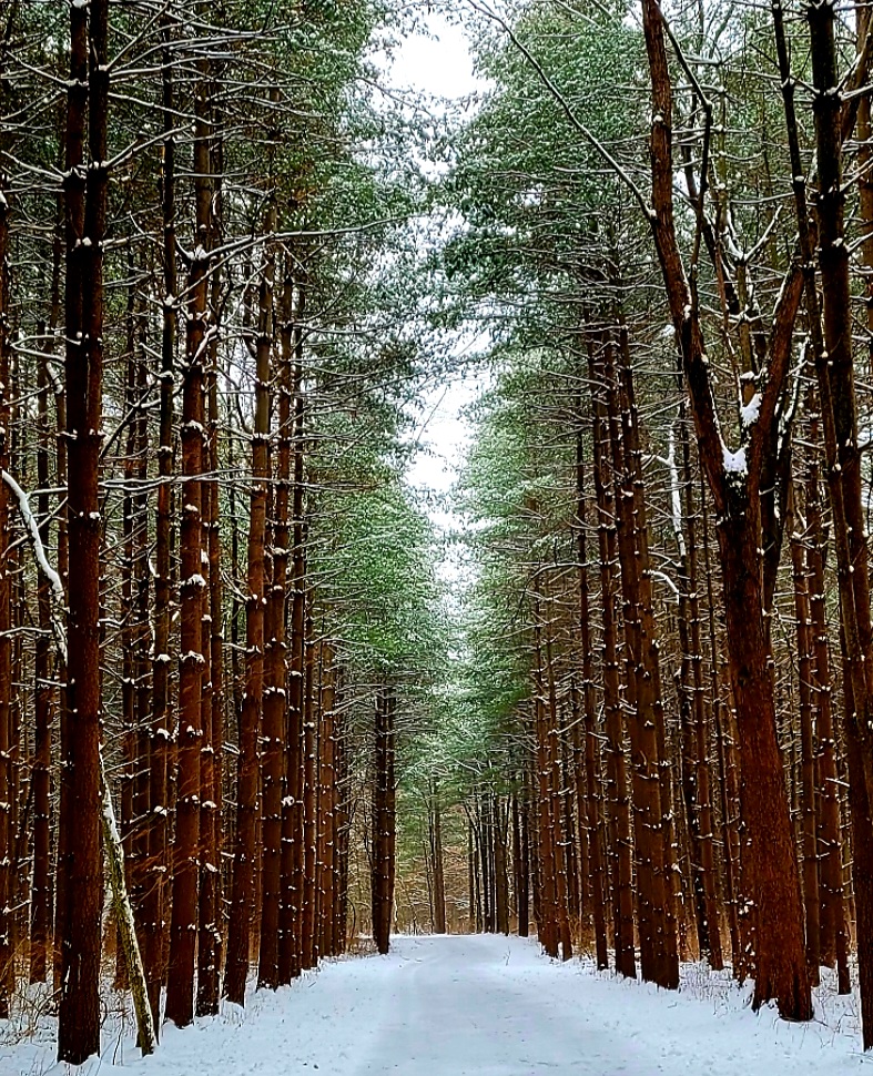 Walnut Woods Metro Park - Groveport, OH