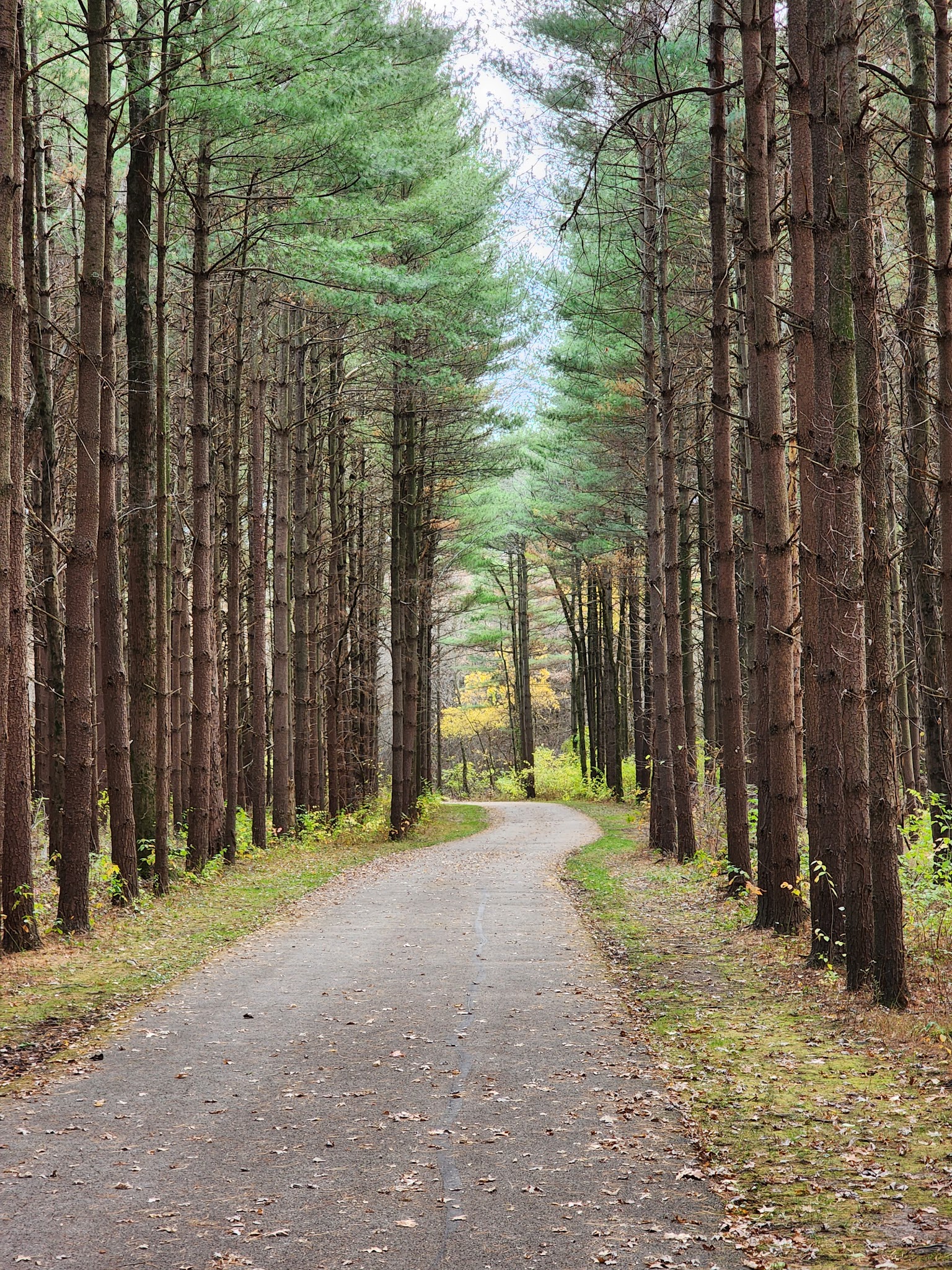 Walnut Woods Metro Park - Groveport, OH