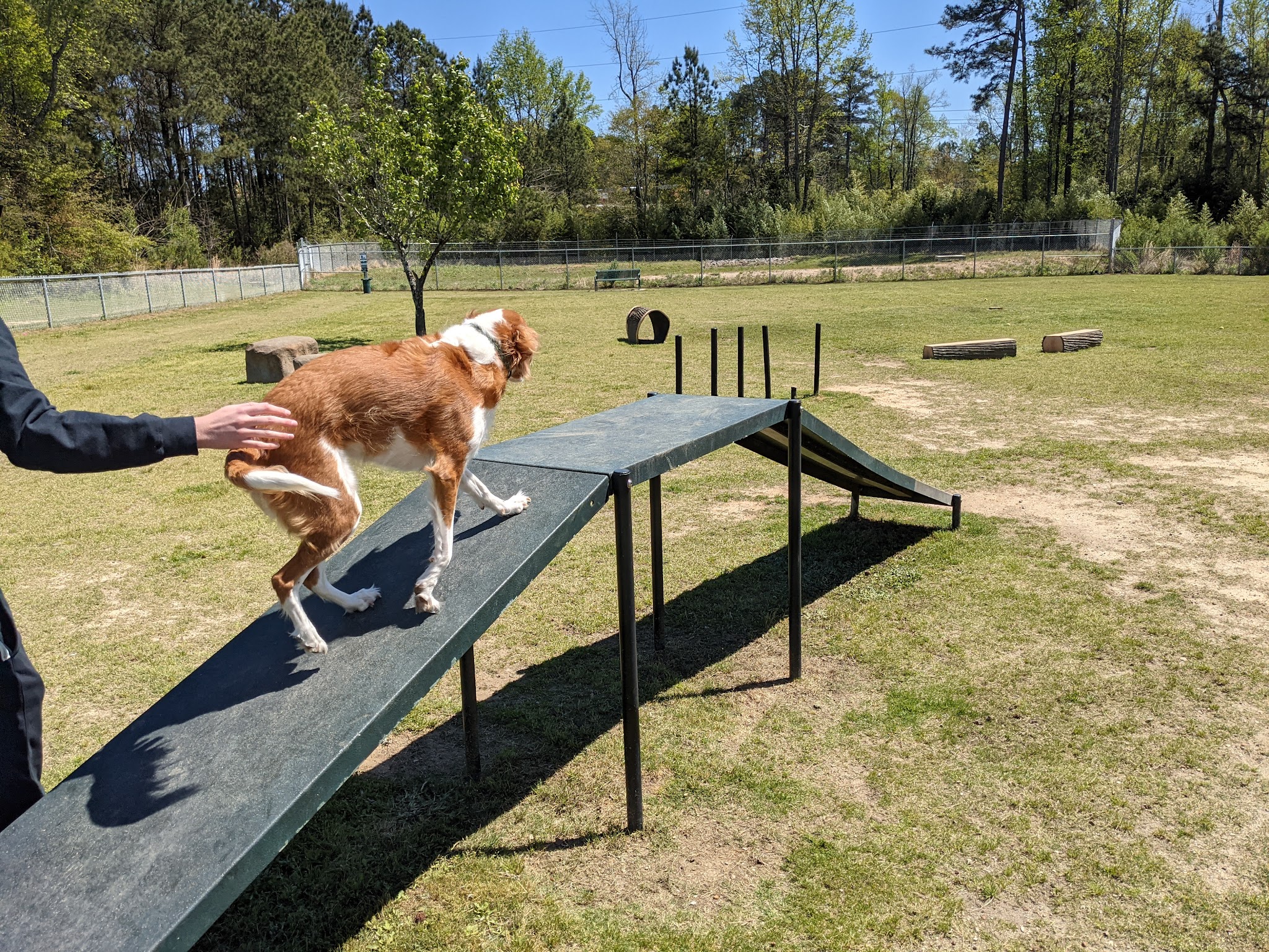 Goodale Dog Park - Grovetown, GA