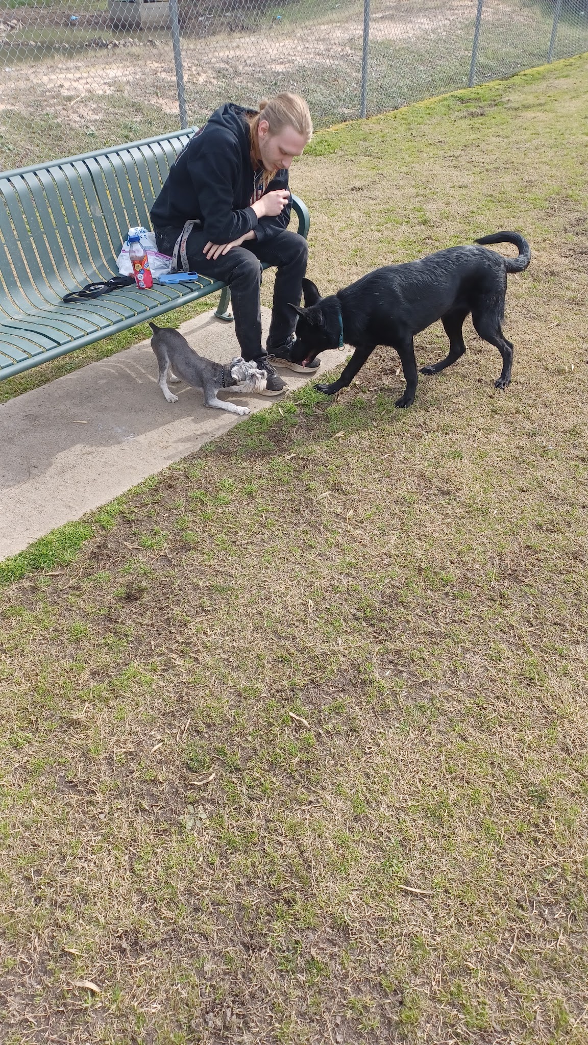 Goodale Dog Park - Grovetown, GA