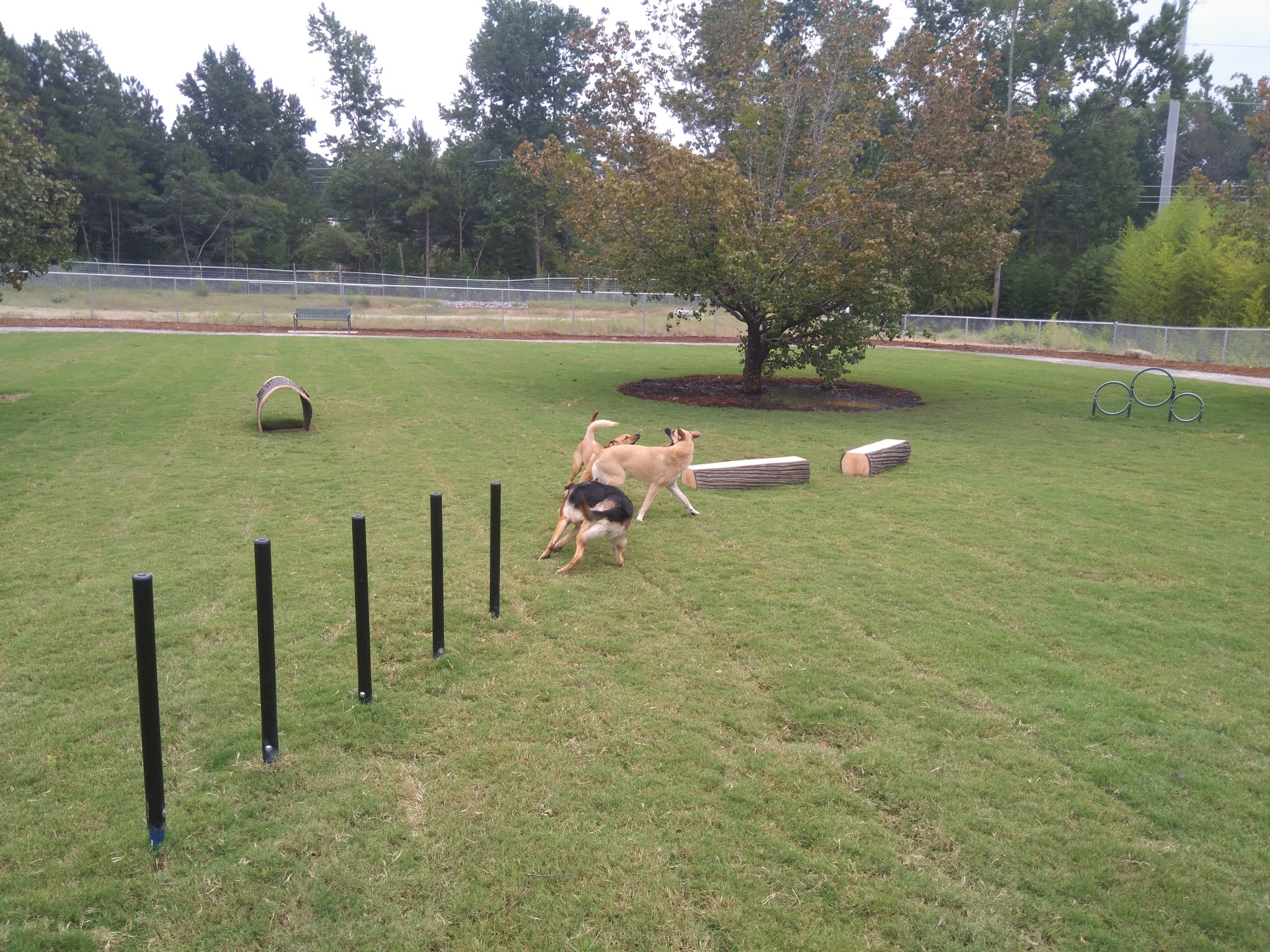 Goodale Dog Park - Grovetown, GA