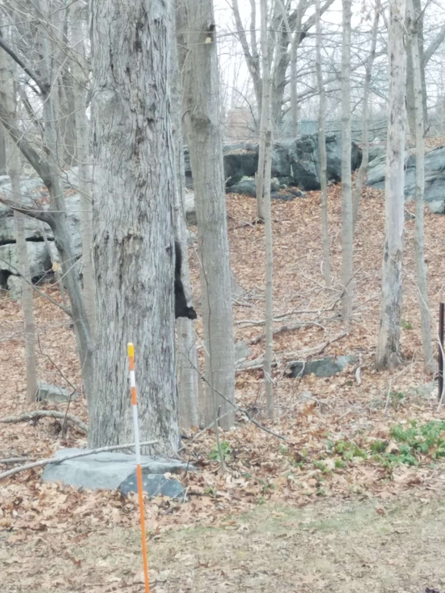 Nut Plains Park - Guilford, CT