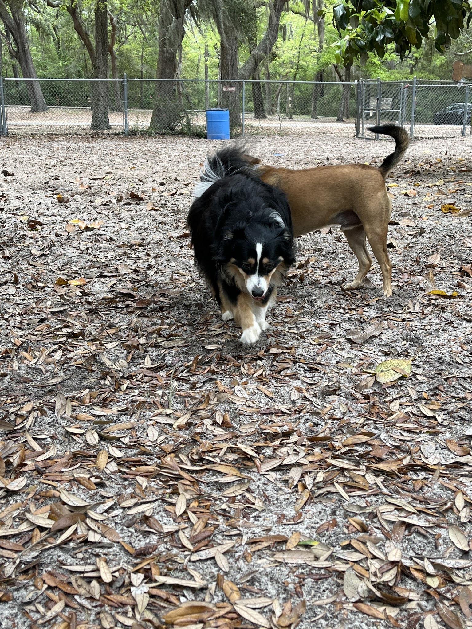 Shoreline Park - Gulf Breeze, FL