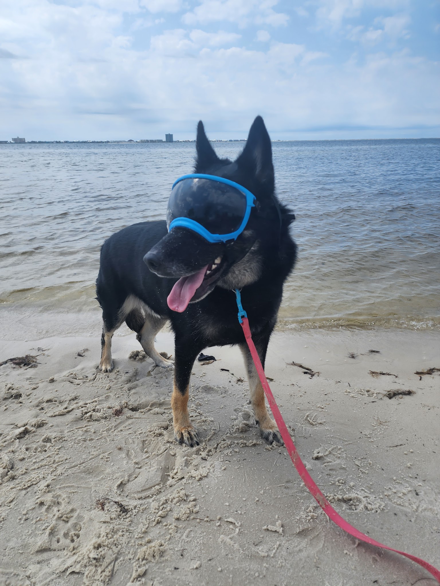 Shoreline Park - Gulf Breeze, FL