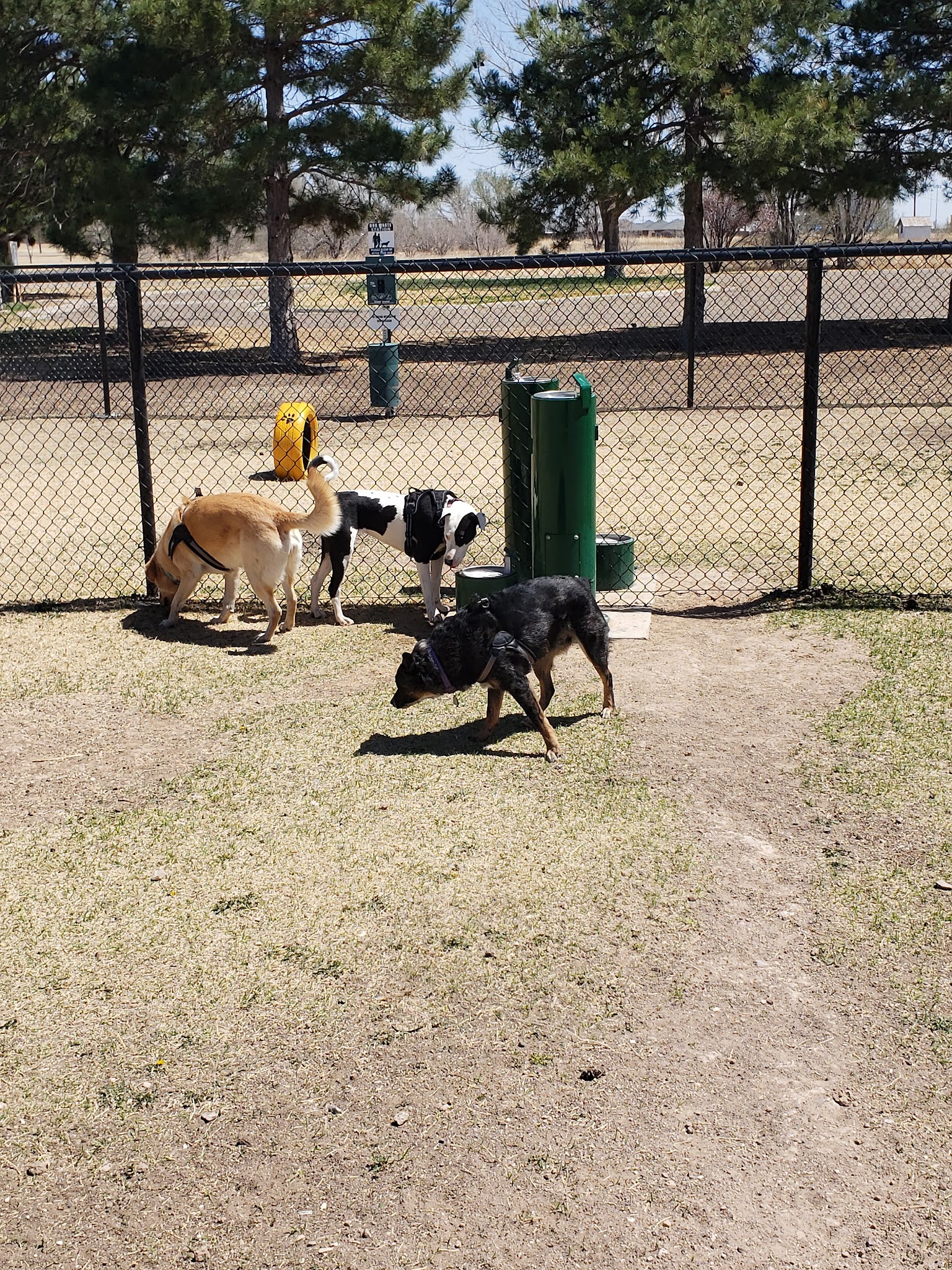 NASH Dog Park - Guymon, OK
