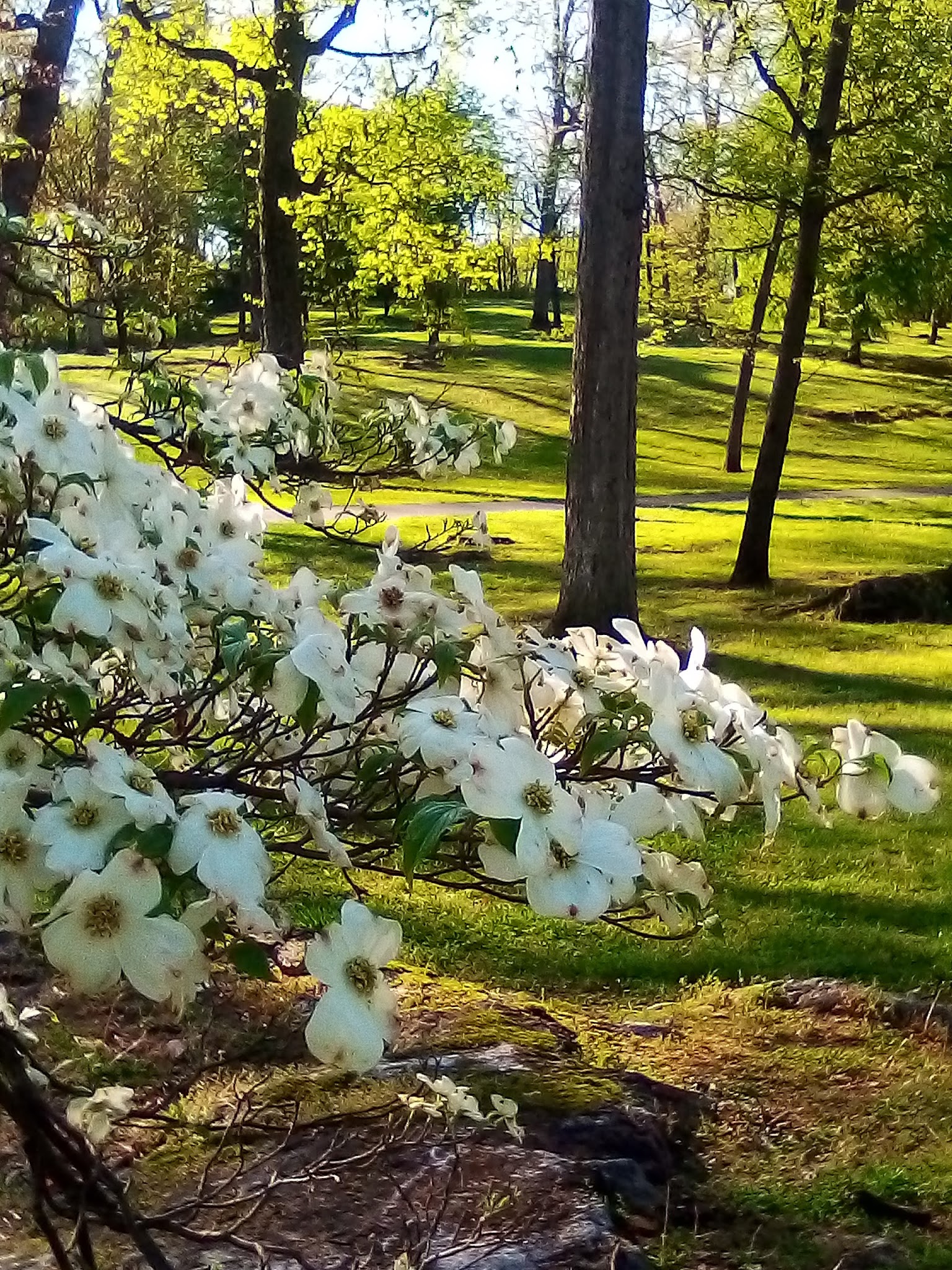 Doubs Woods Park - Hagerstown, MD